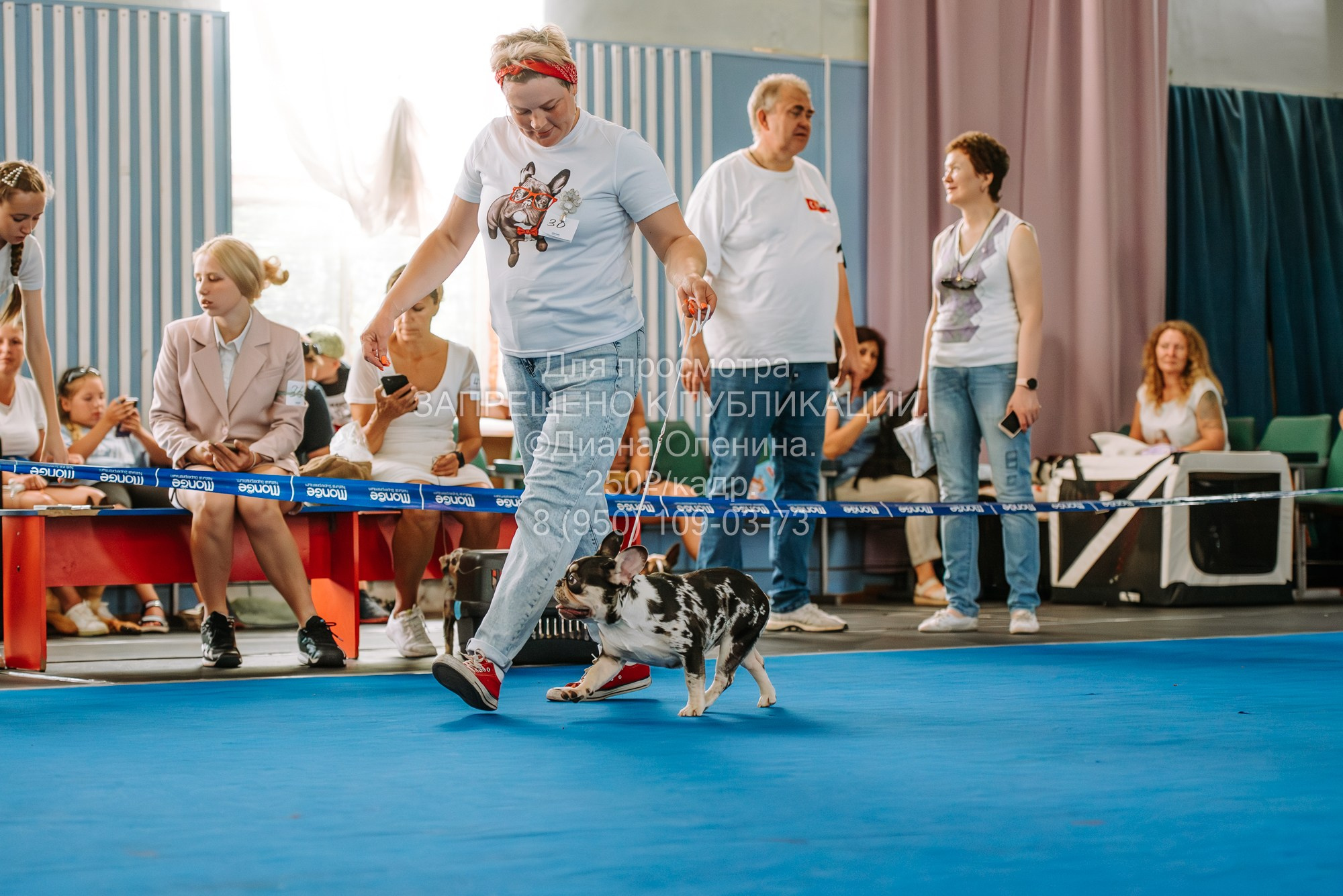 Национальная выставка собак всех пород ранга САС-IKU «Кубок Красноярск. Фотограф Диана Оленина Красноярск / Братск