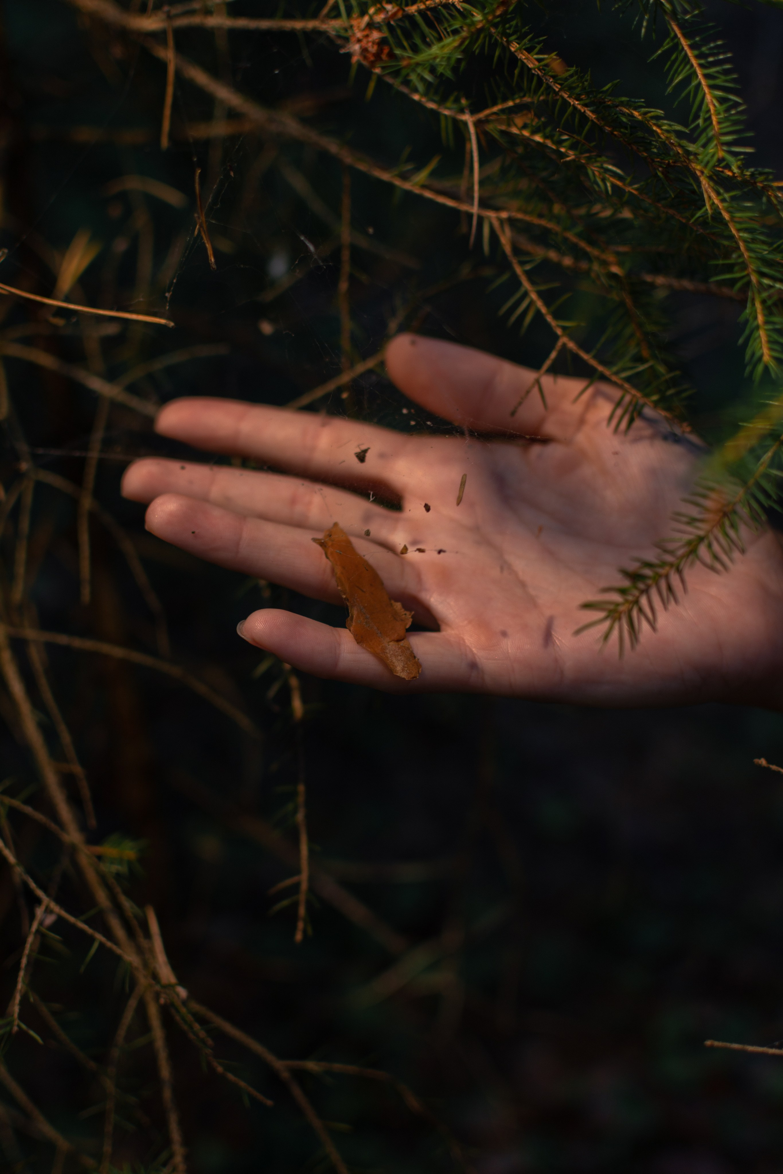 Светлана. Портретный и репортажный Фотограф в Москве Александра Комарницкая