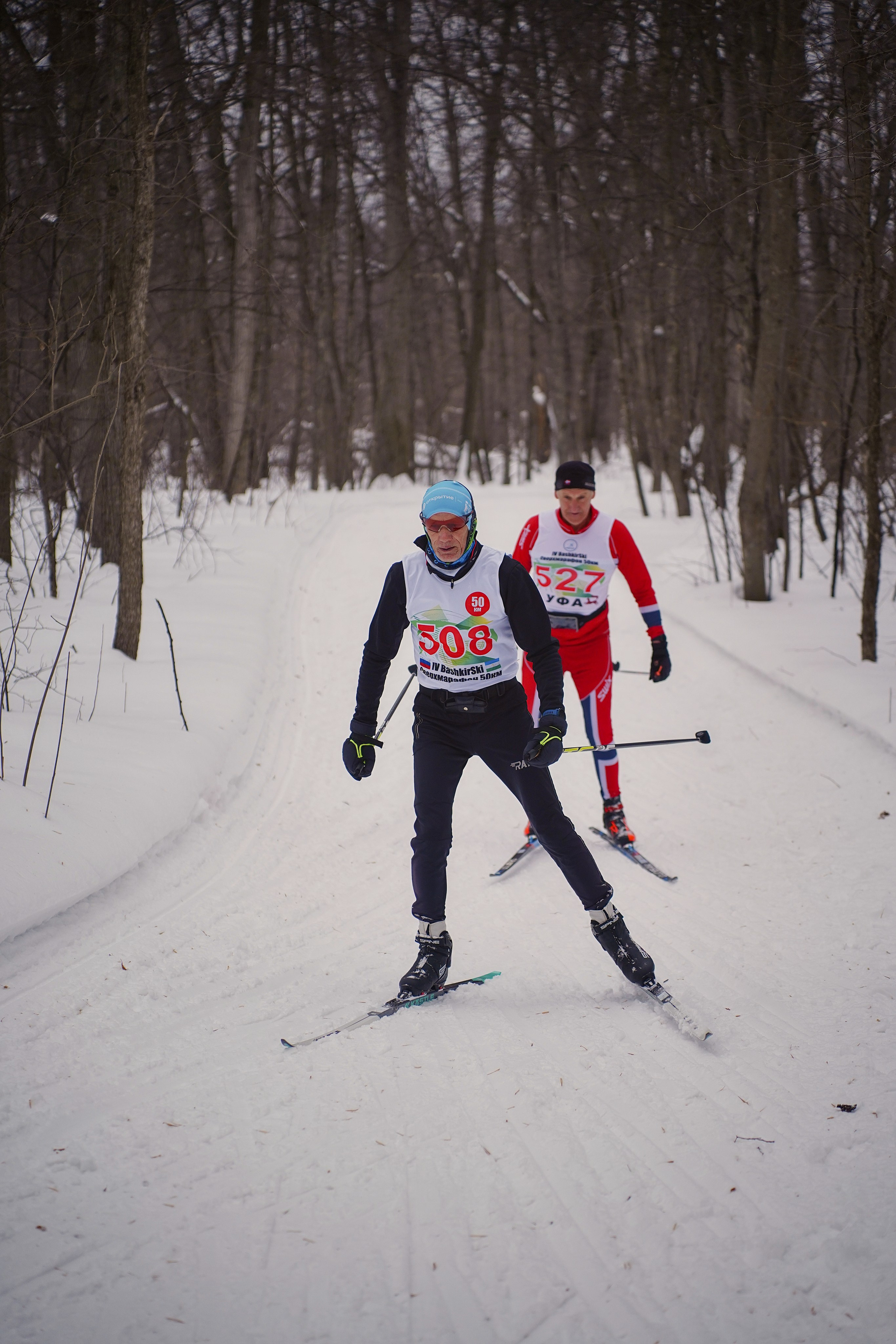 4-й BASHKIR-SKI Лыжный Сверхмарафон 100 км. Pupov.png