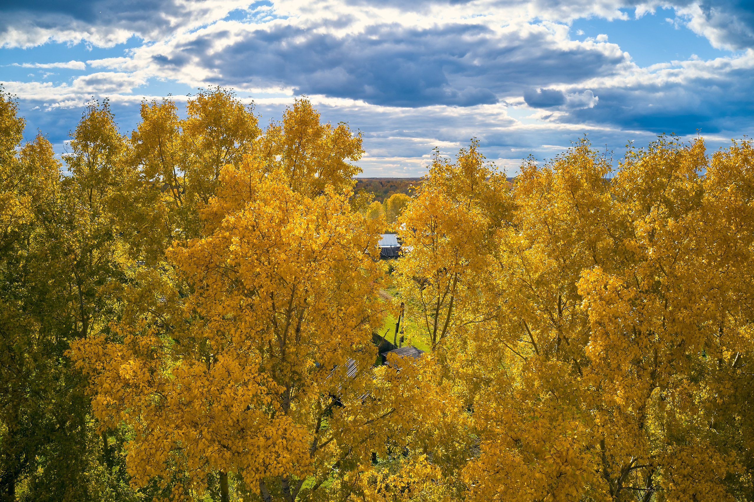 Съемка в полете. DMITRY MOISEENKO — фотограф, художник, топ-стилист