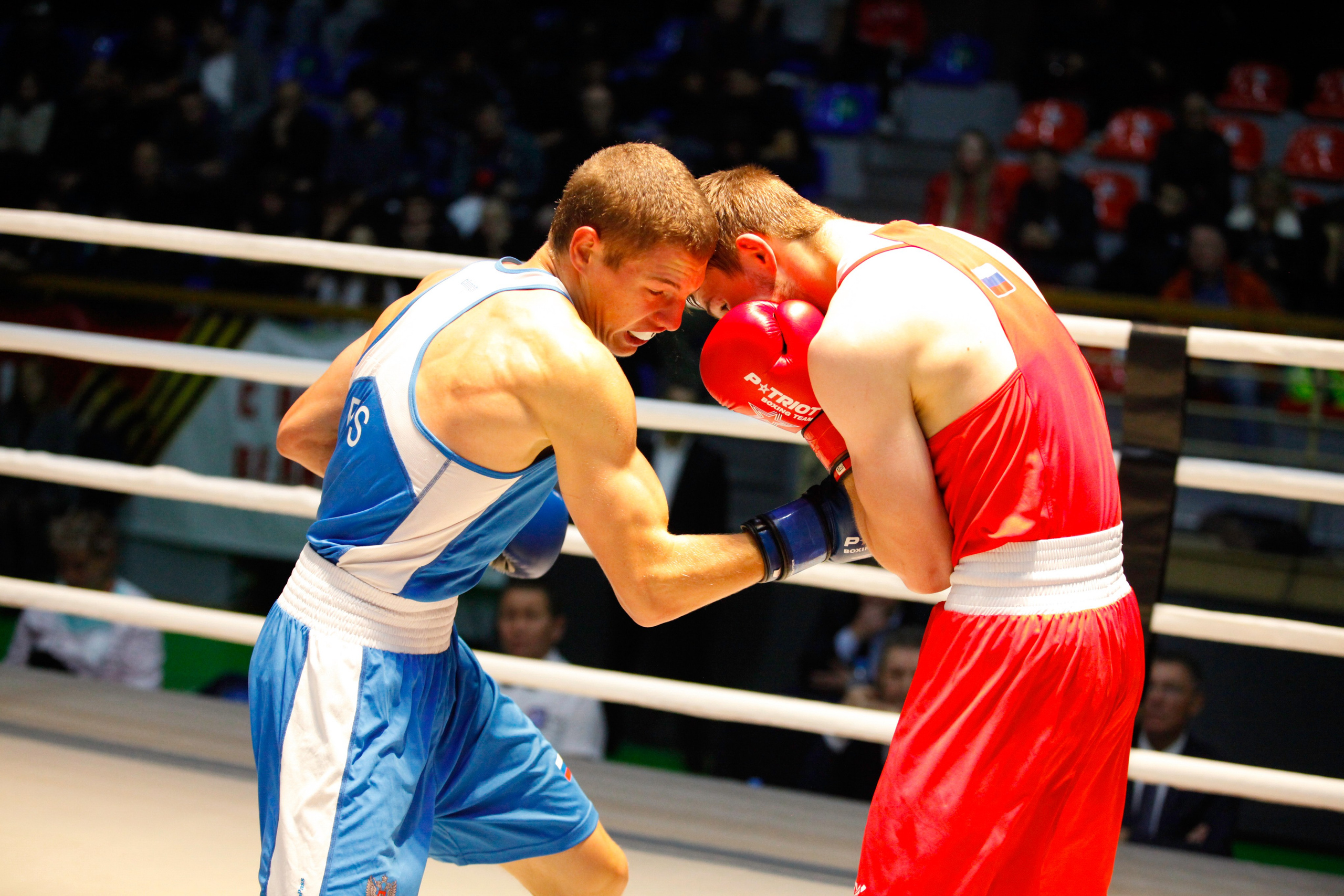 БОКС. Фото. Спортивный фотограф, трансляция, звук и свет в Новосибирске