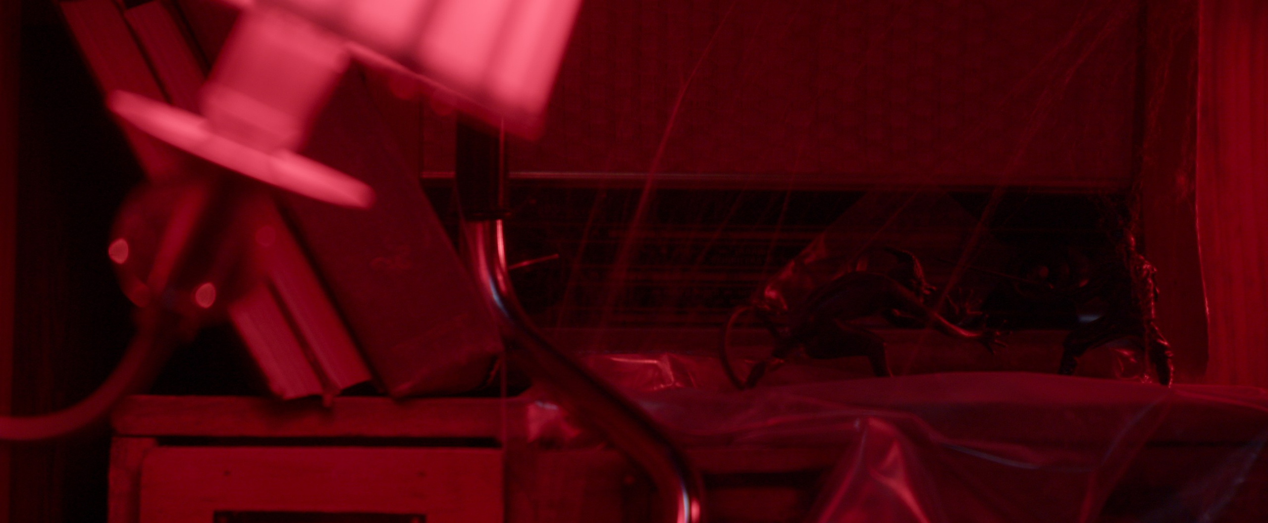 Лука Шарабидзе. Оператор. Лука Шарабидзе. Оператор, фотограф