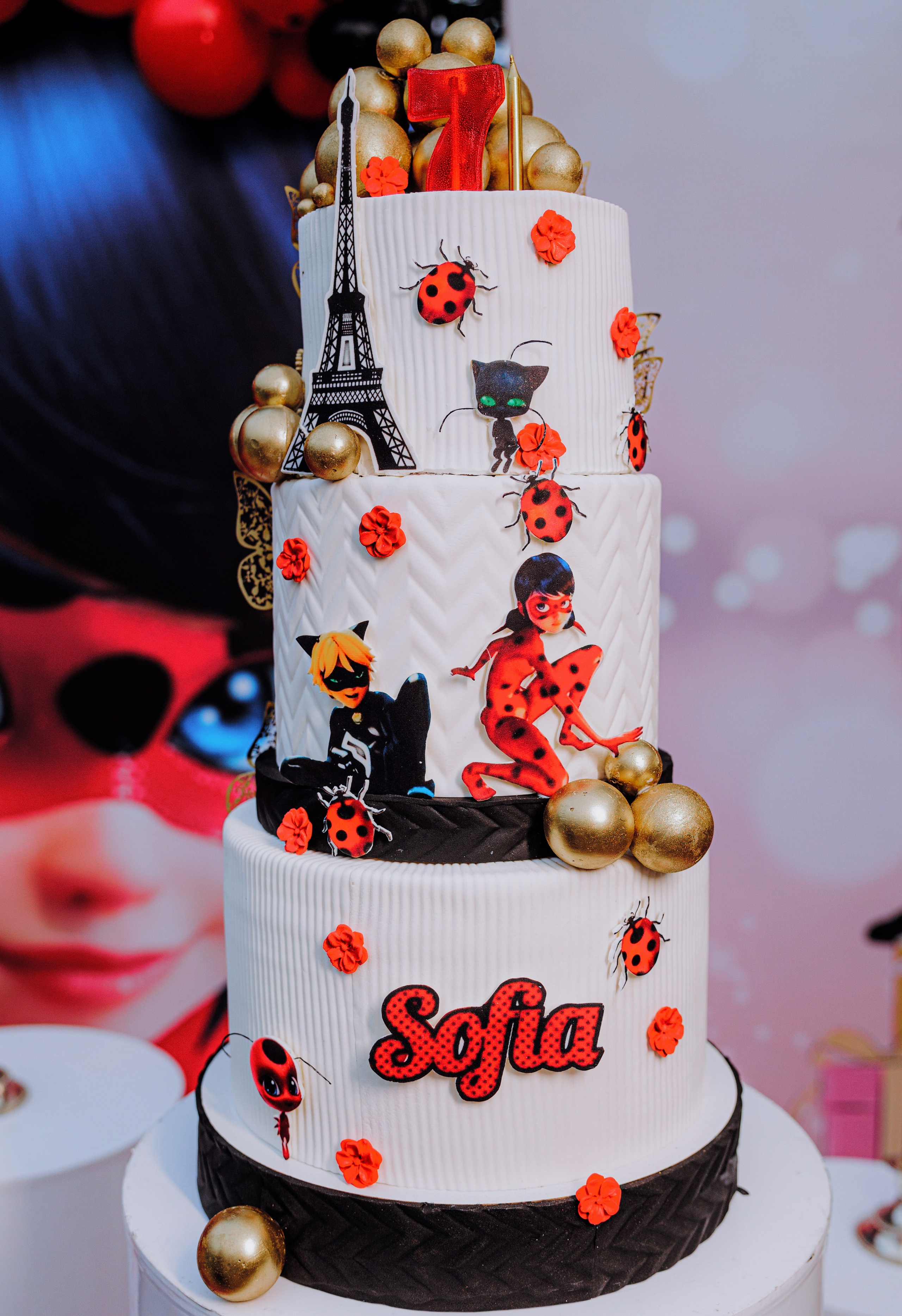 ДЕТСКИЕ ПРАЗДНИКИ. Фотограф Андрей Ширкалин Москва Московская обл, Коломна, Рязань