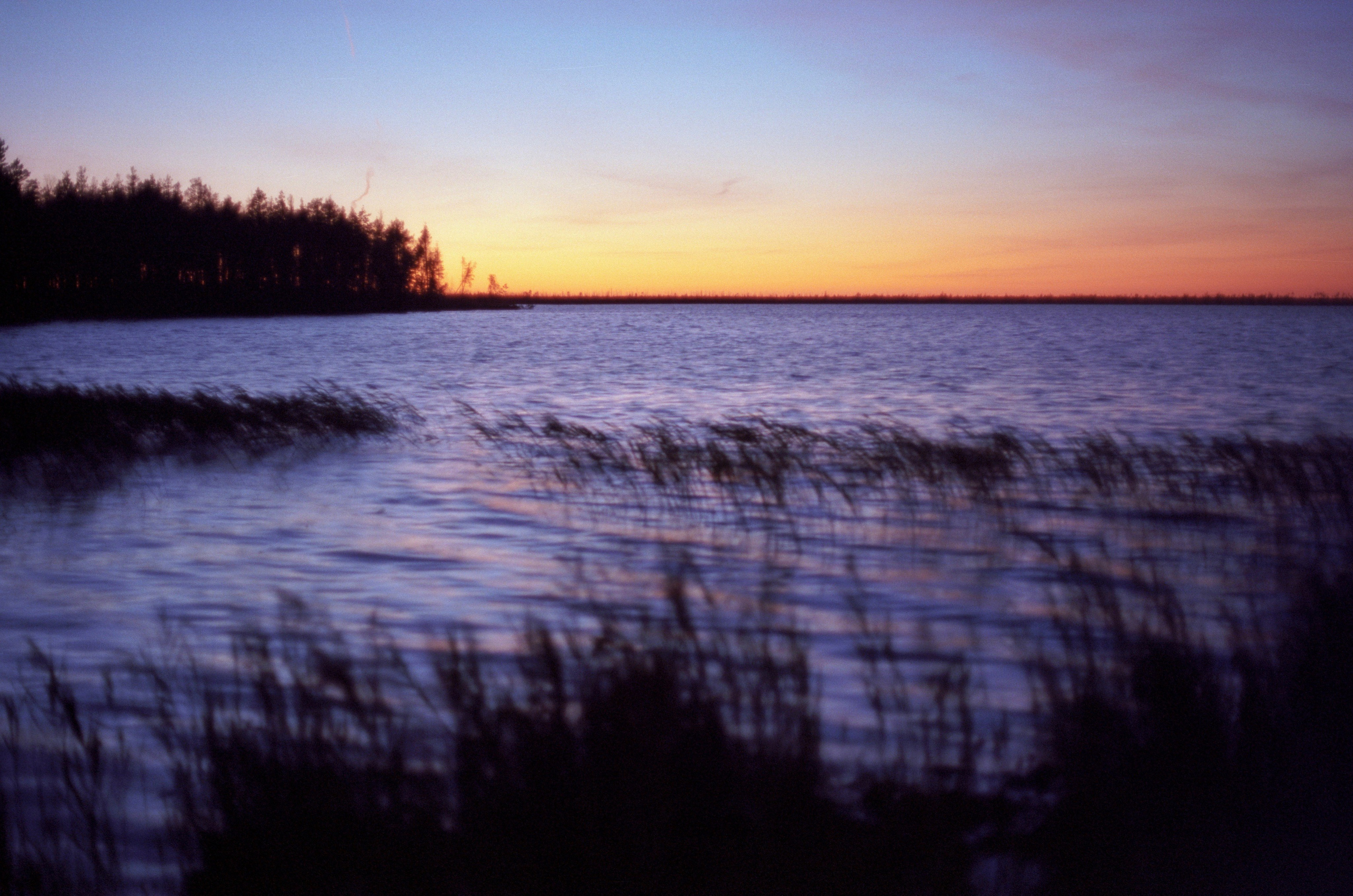 Природа. Василий Буйлов|Vasilii Builov