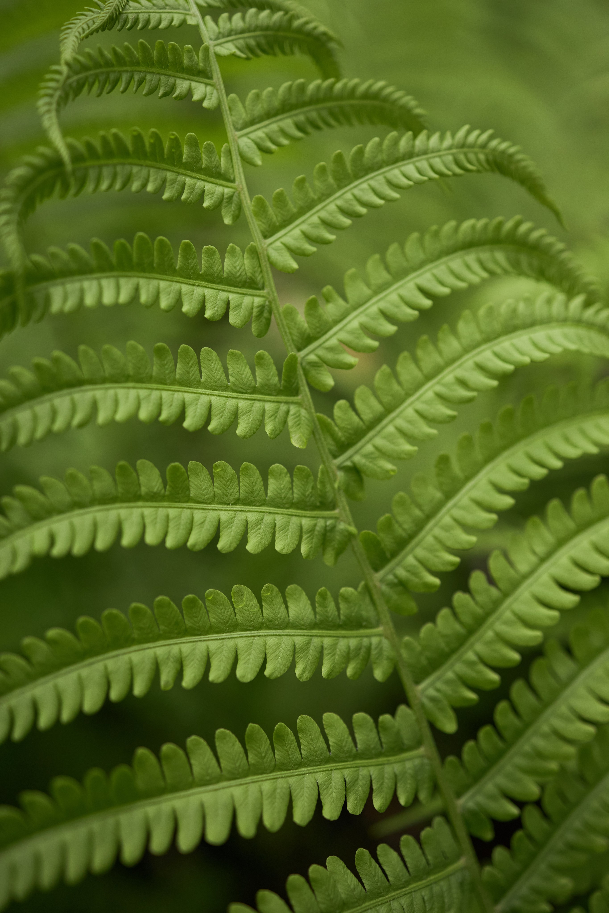 Wedding day | Владислав и Екатерина