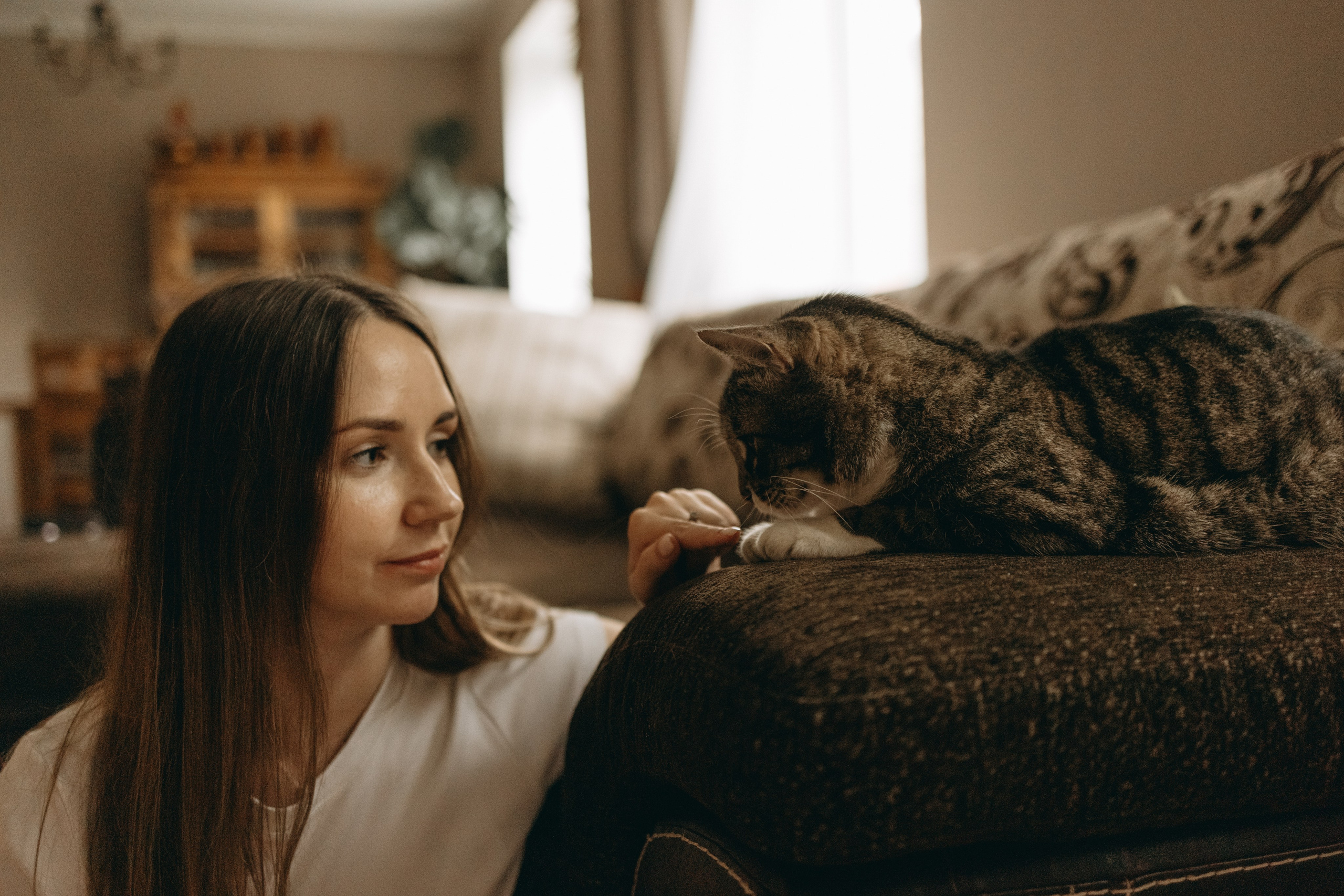 Софа и ее хвостики. Фотограф — Анималист | Санкт-Петербург