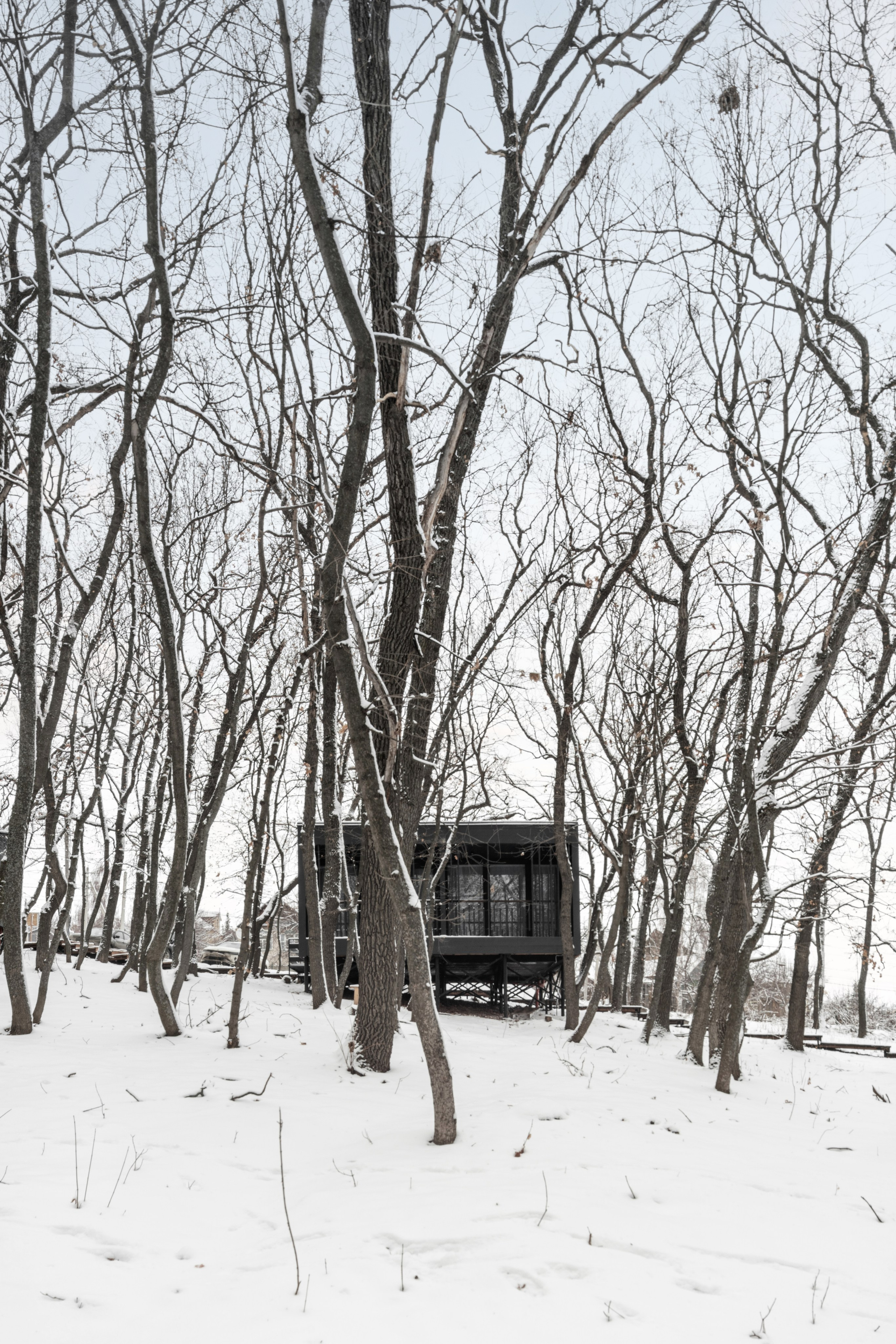 ХОЛМ. SAAS Селиванов Алексей Архитектурная Студия