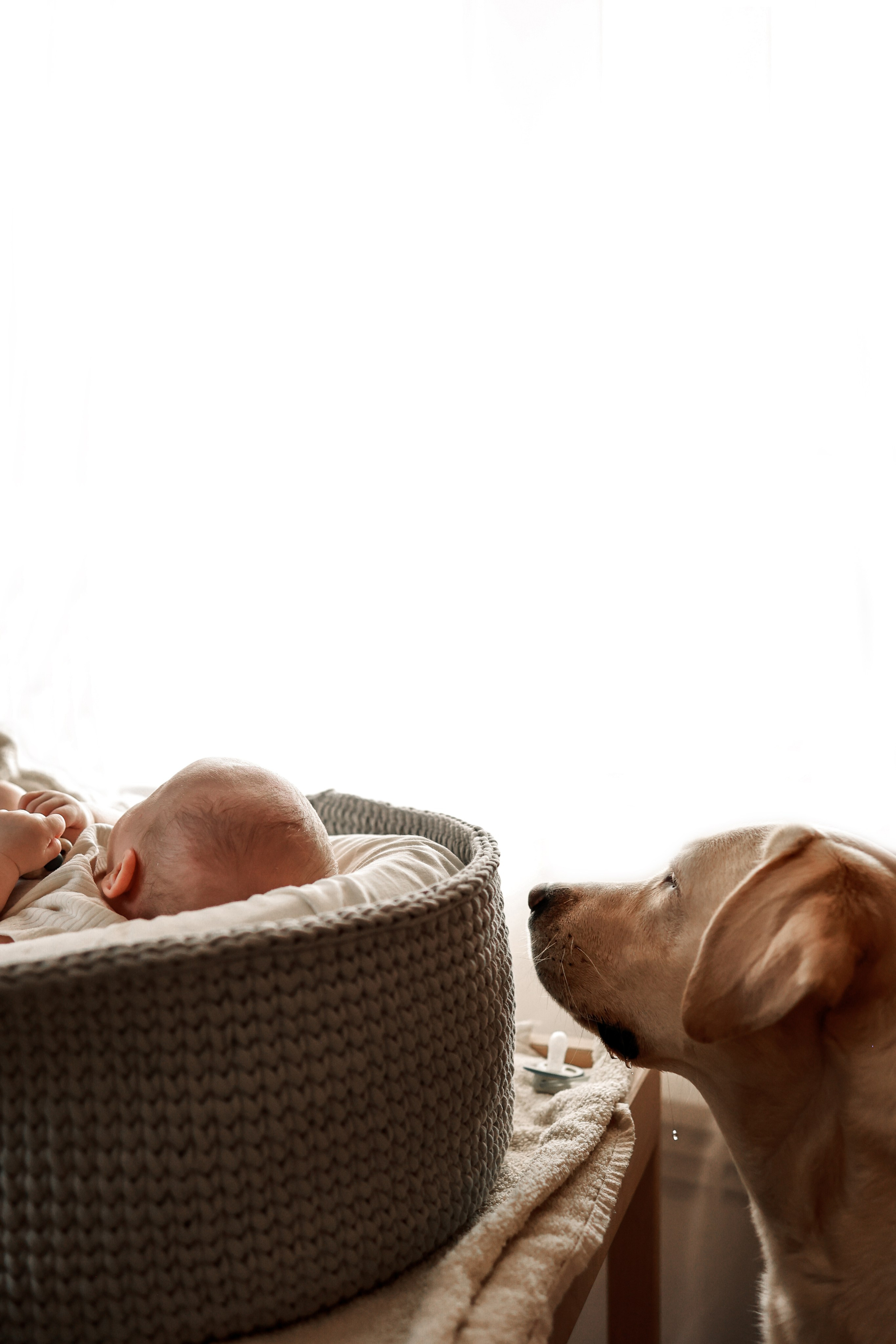 Домашние истории. Фотограф Юлия Говор