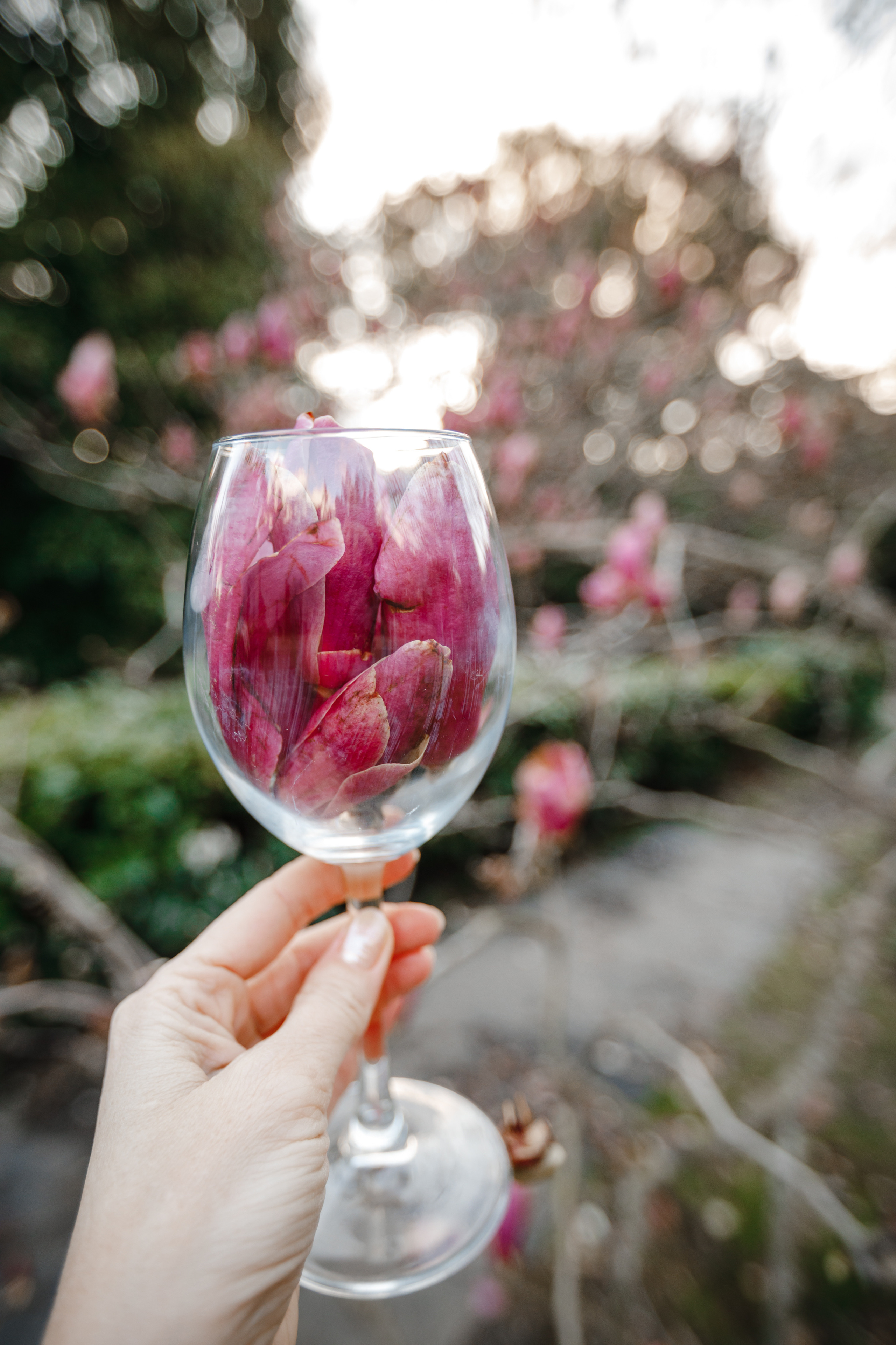 Наталья. Фотограф в Сочи. Свадебная видеосъемка Сочи