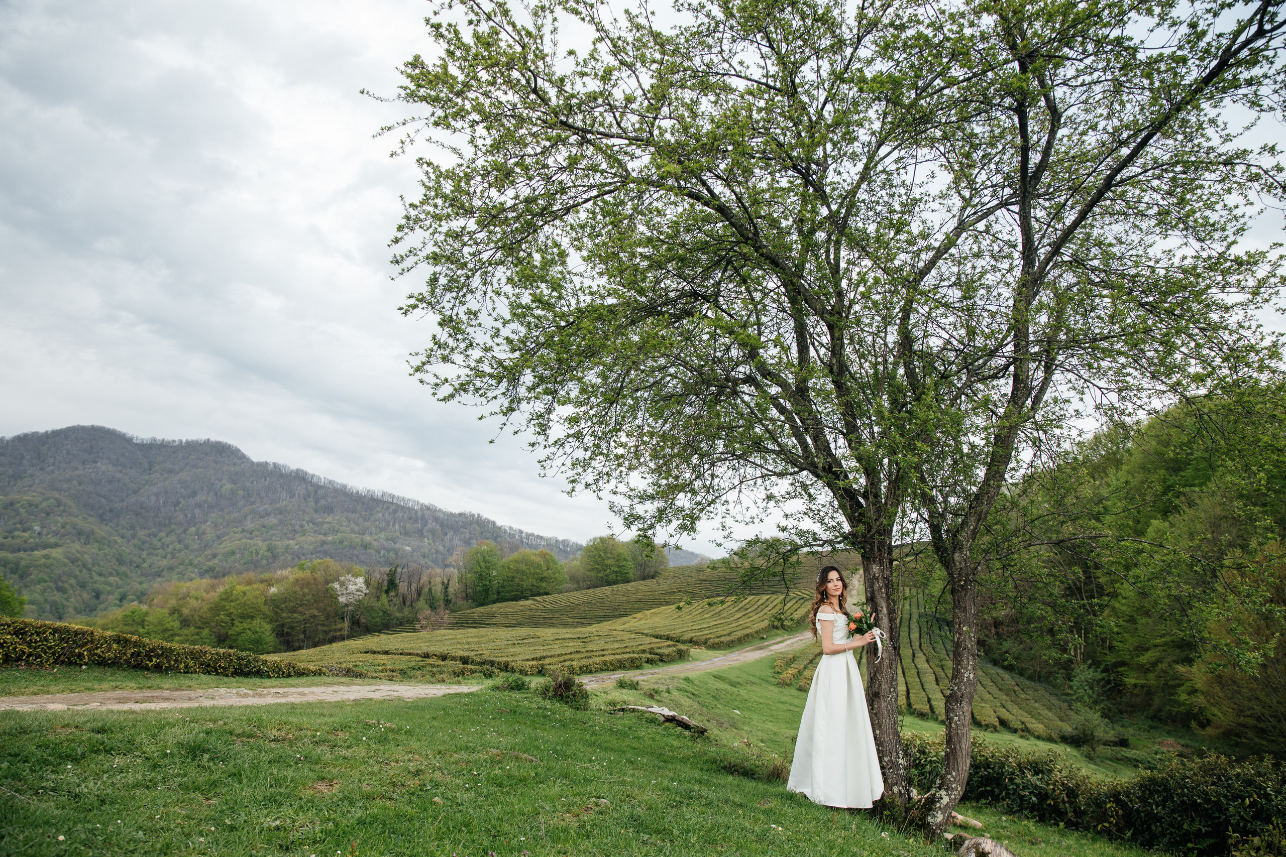 Алексей и Екатерина. Фотограф в Сочи. Свадебная видеосъемка Сочи