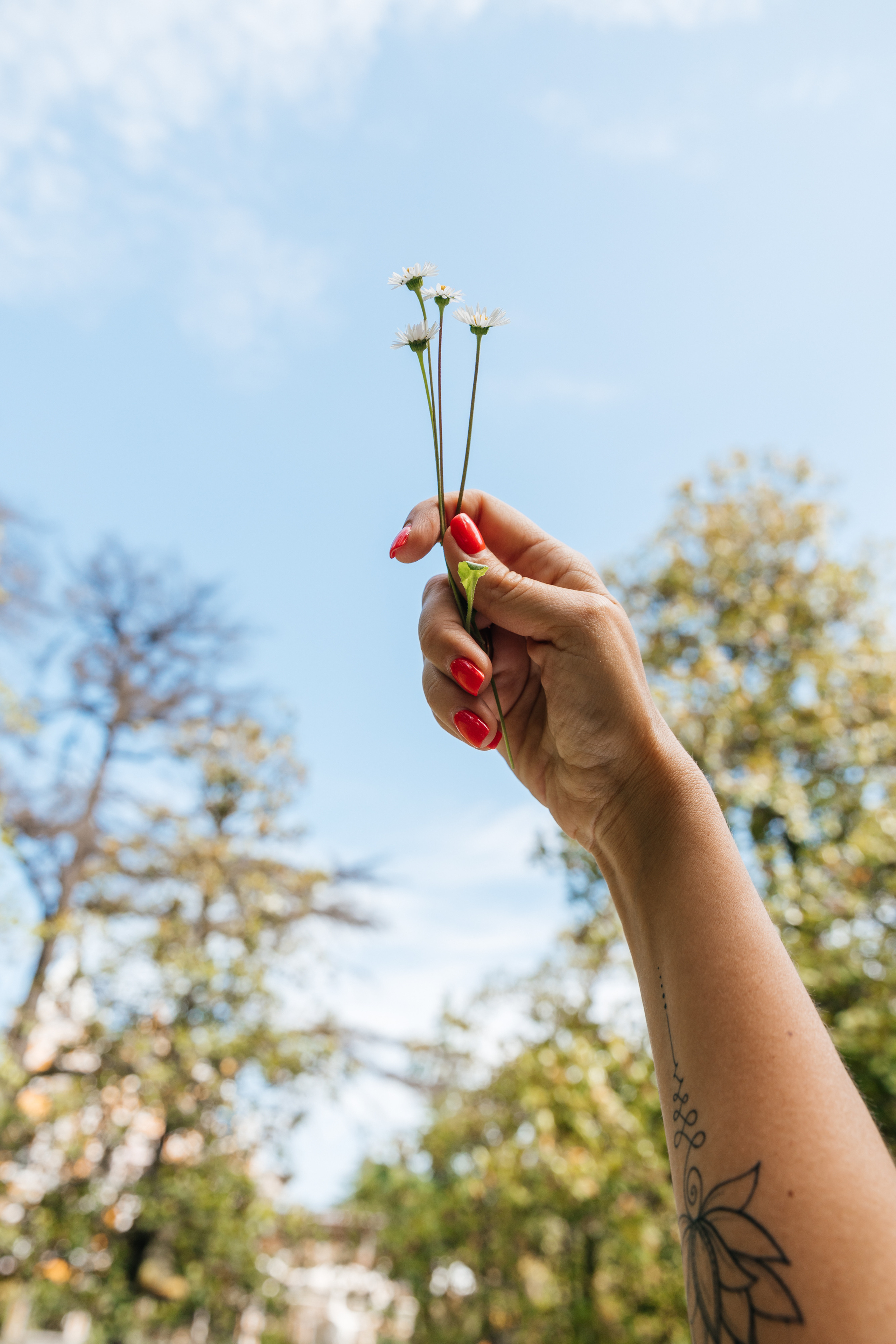 Мари. Фотограф в Сочи. Свадебная видеосъемка Сочи