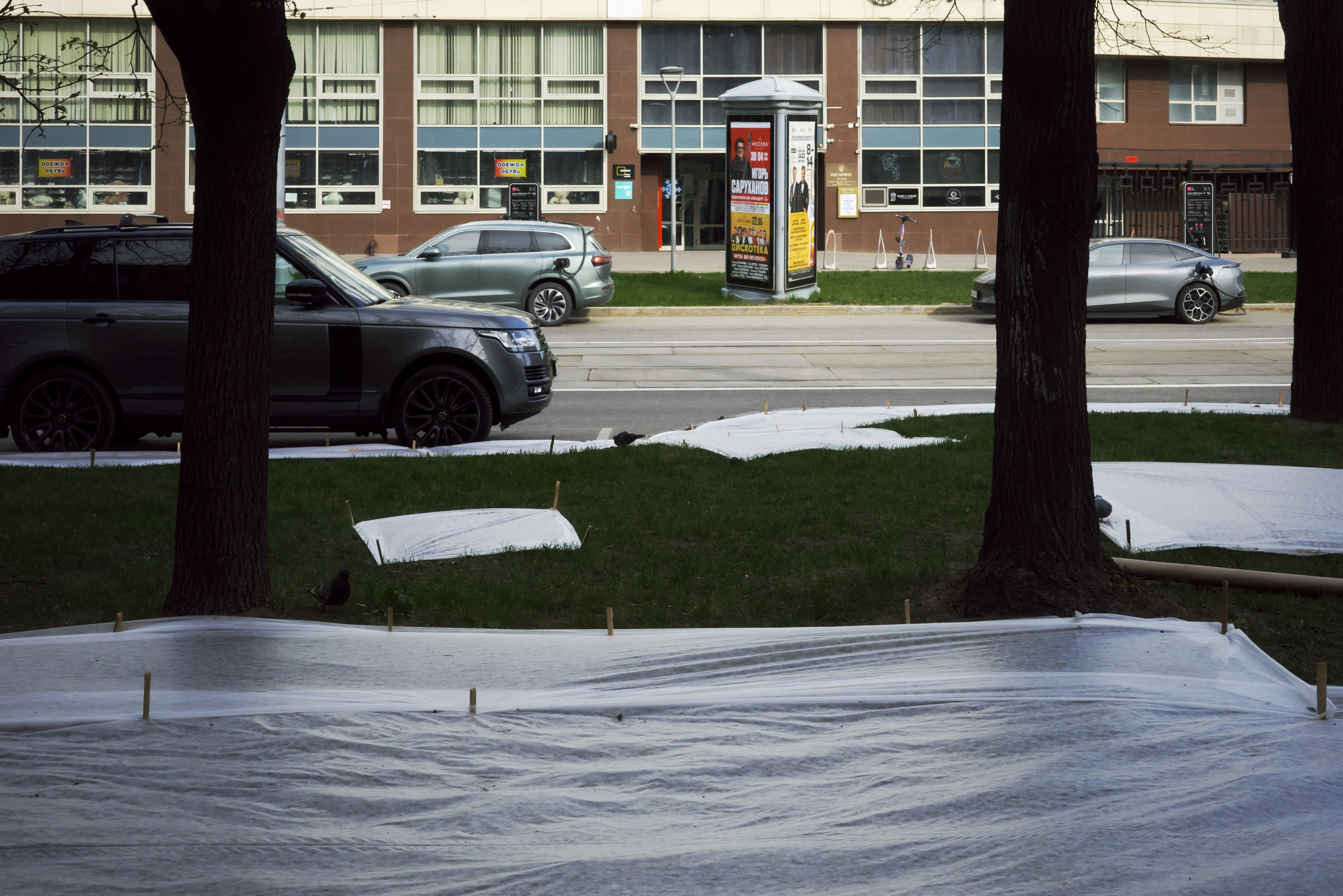 Реставрация газонов 🌵. Миша Печёнкин | фотография