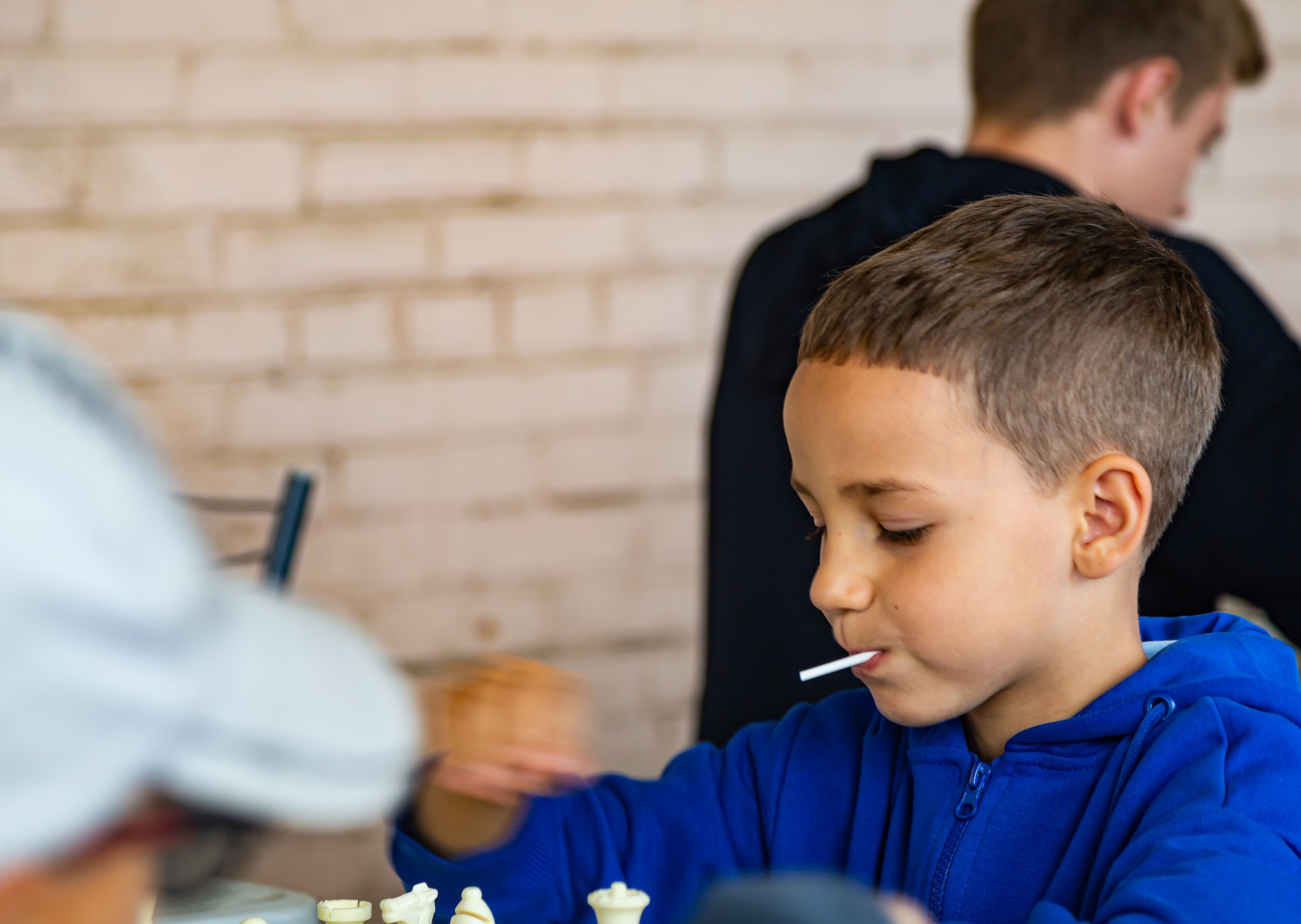 Шахматный турнир в Шушарах Санкт-Петербург. Светлая сторона