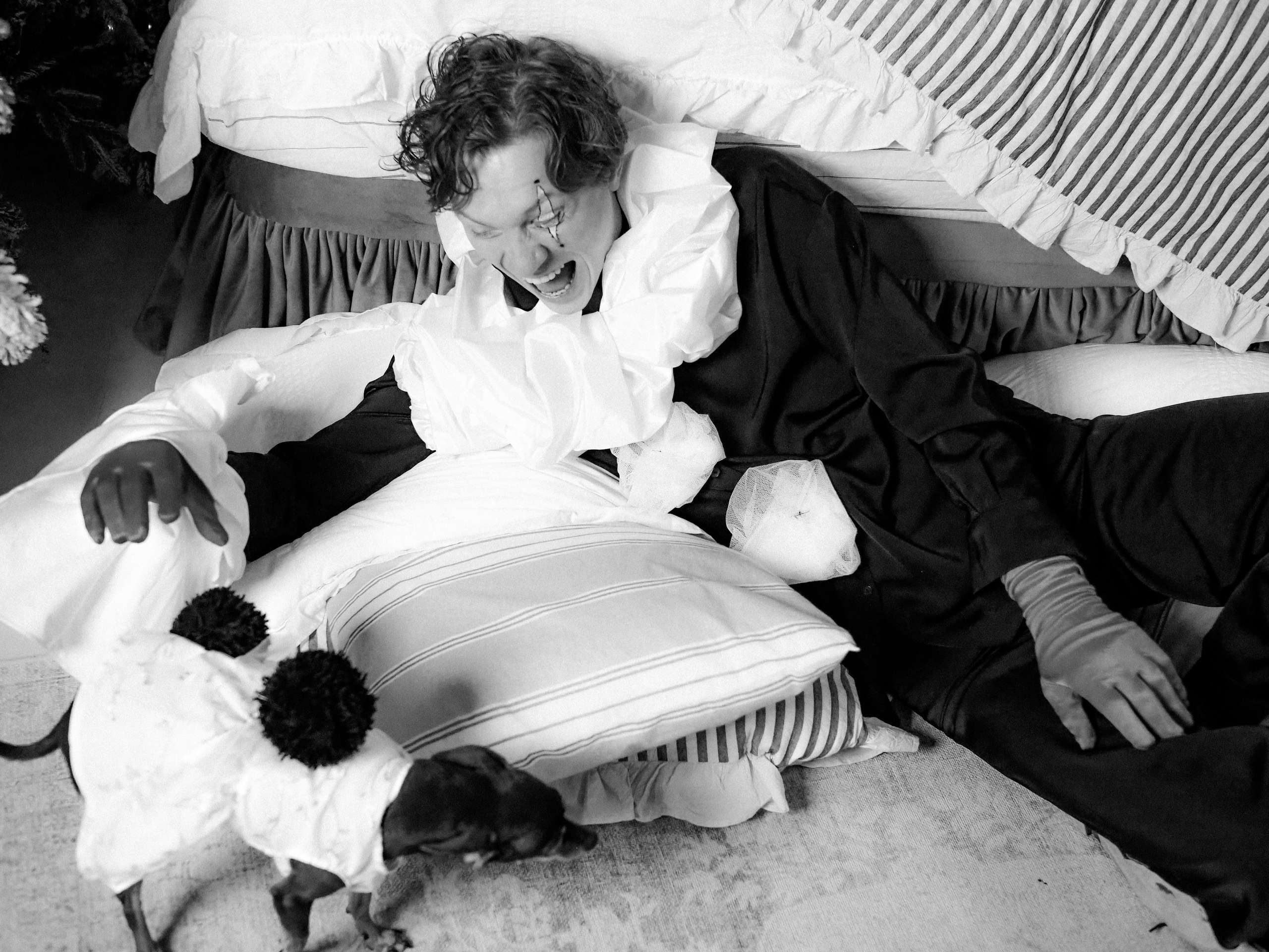 Arlequin. Фотограф Рязань. Семейный Свадебный фотограф