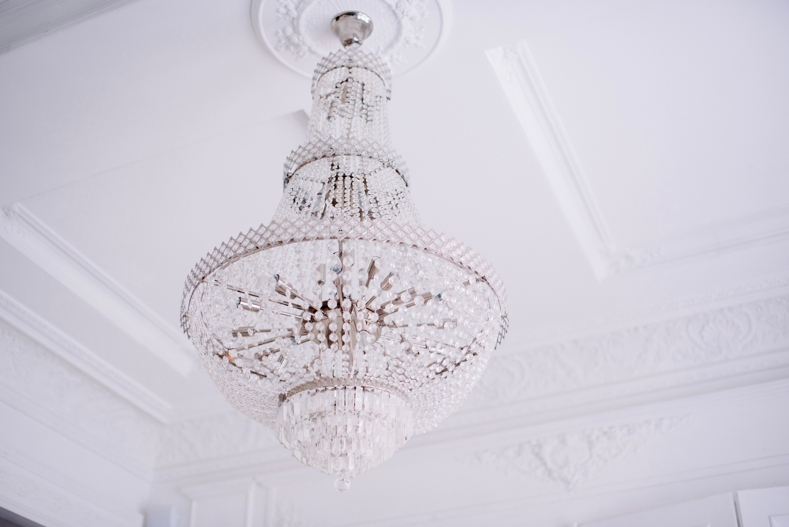 Розовое. Фотограф Юлия Попова