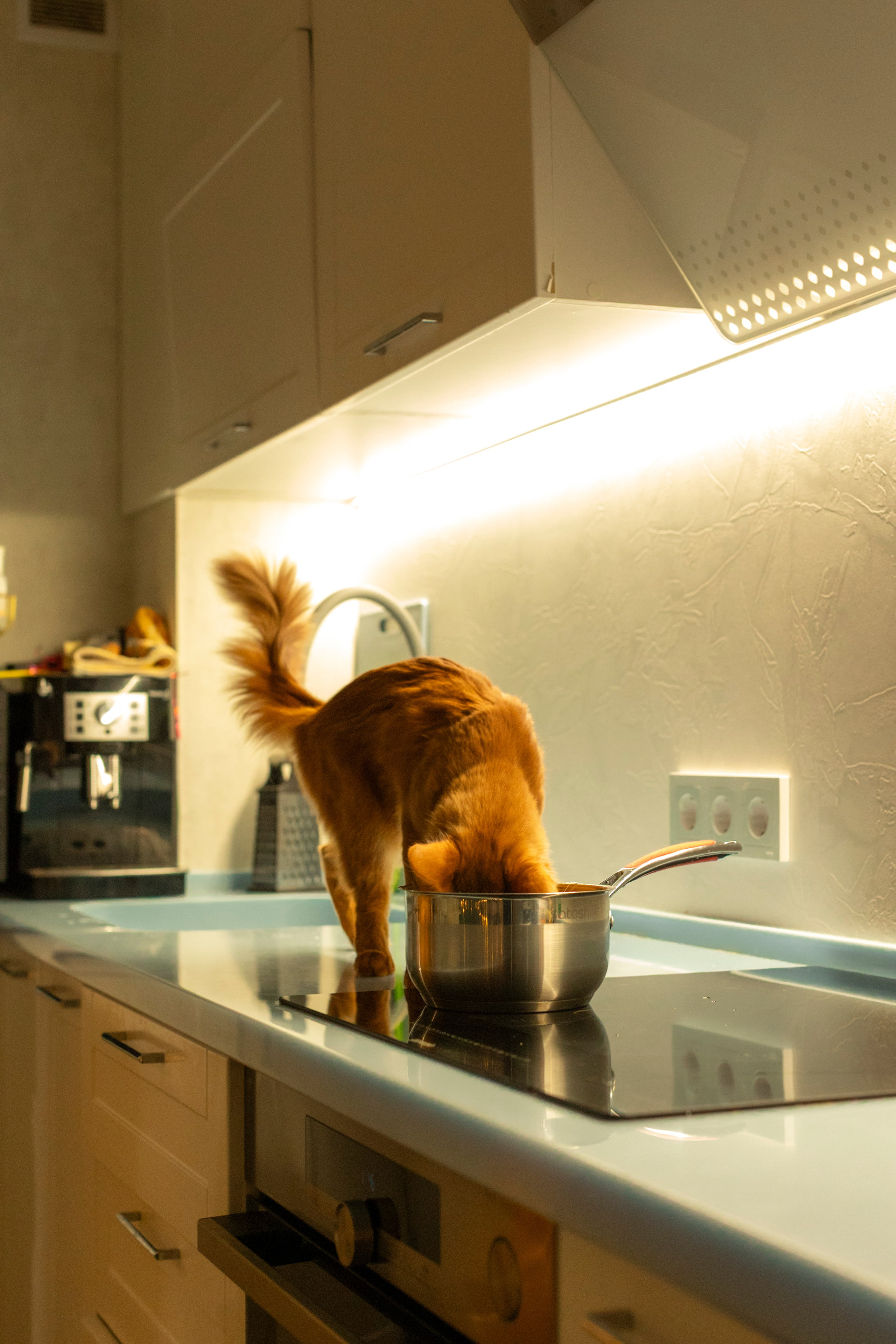 Сомали. Art my Pho