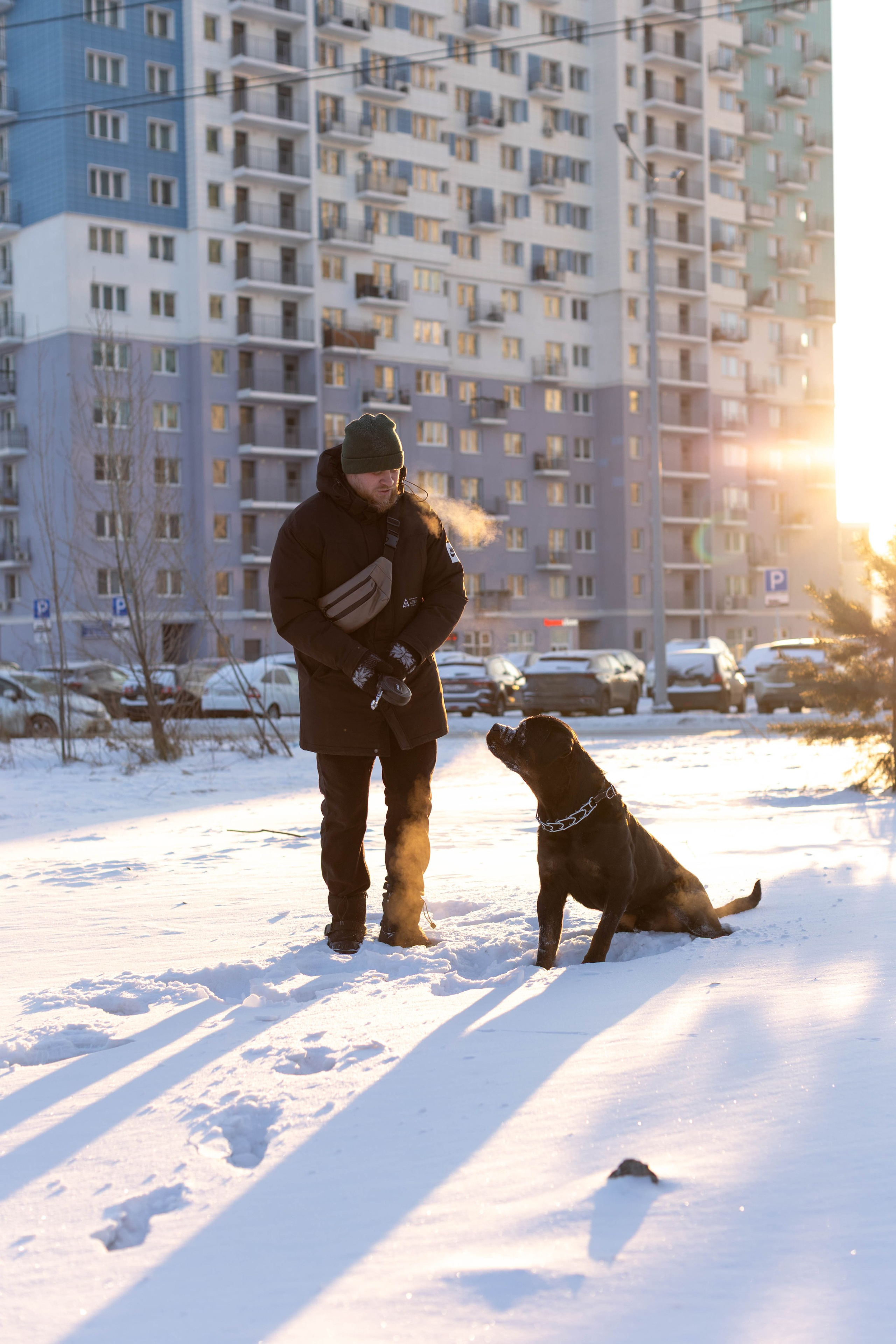 Зимняя прогулка. Art my Pho
