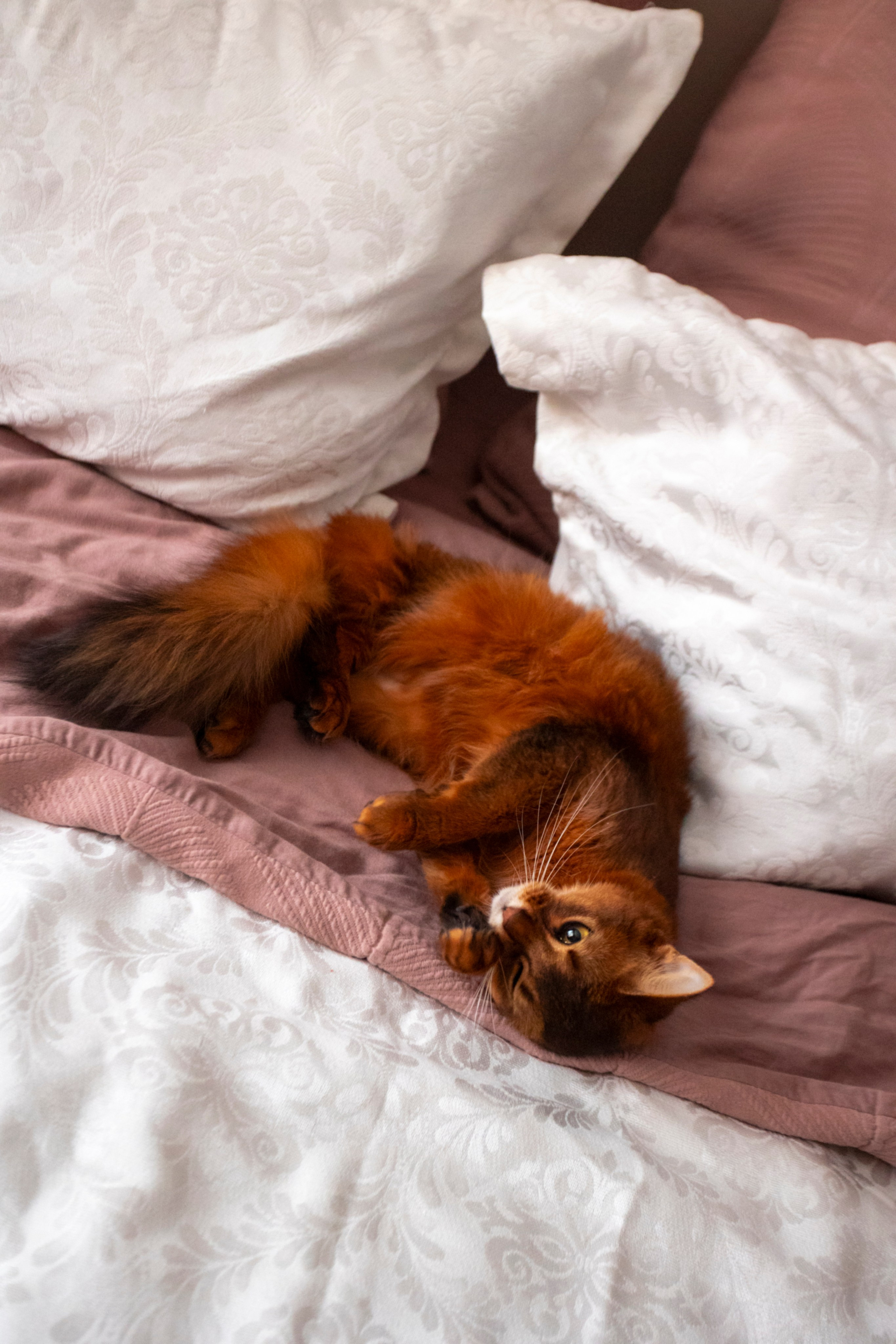 Сомали. Art my Pho