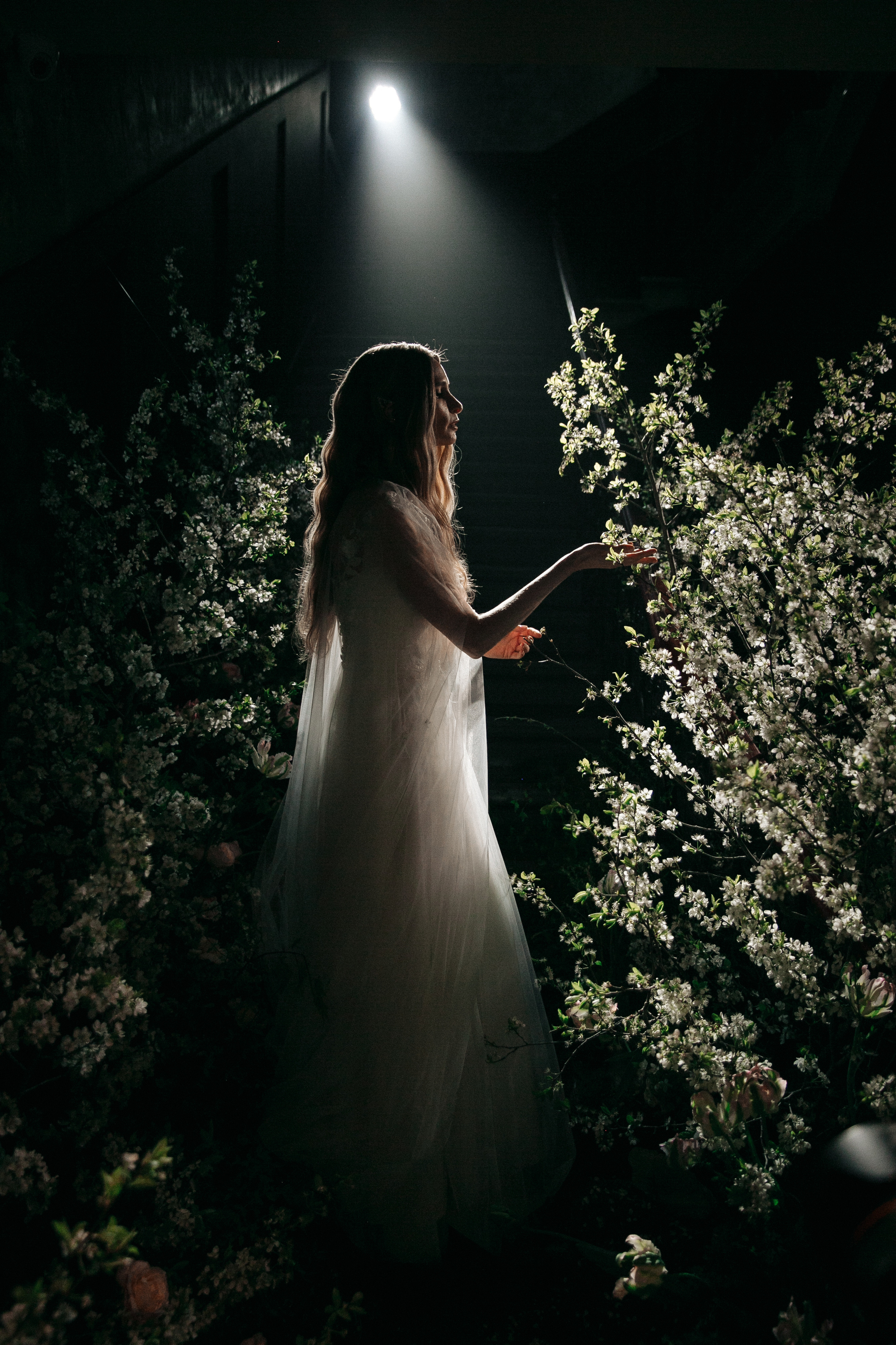 Портфолио. Свадебный и семейный фотограф Александр Беляков