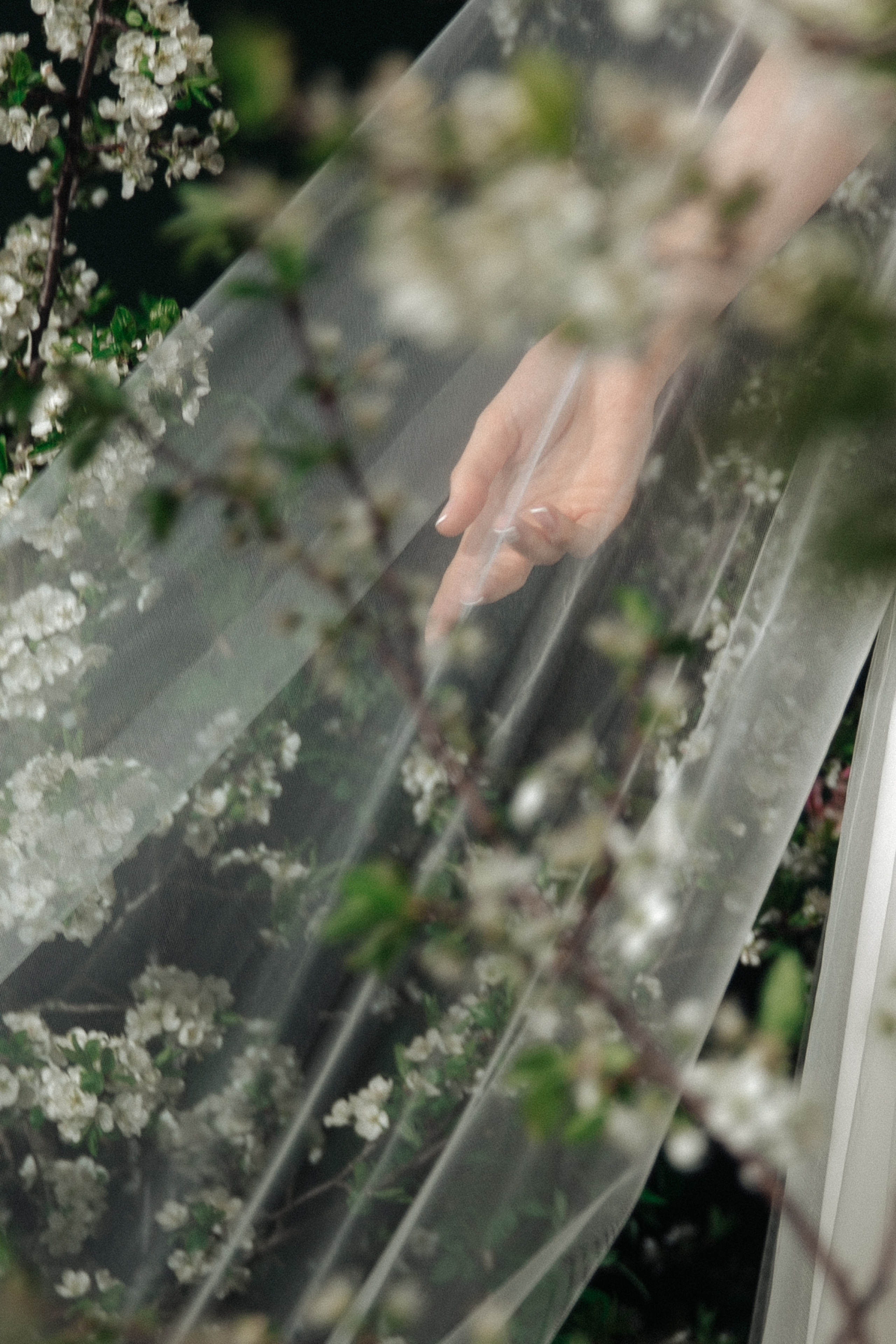 Портфолио. Свадебный и семейный фотограф Александр Беляков