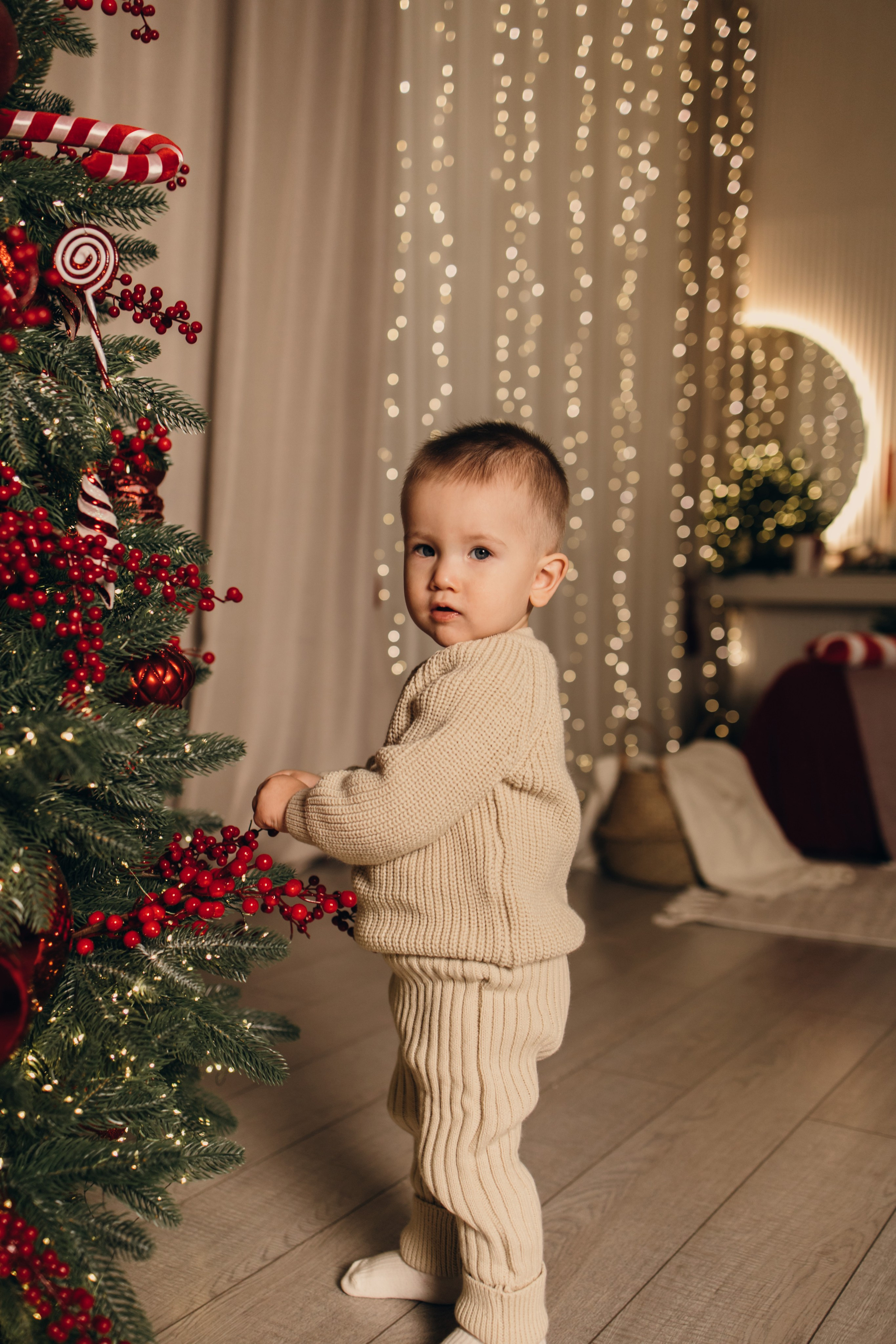 Новогодний самоед. Коновалова Ольга | фотограф в Пензе и Заречном