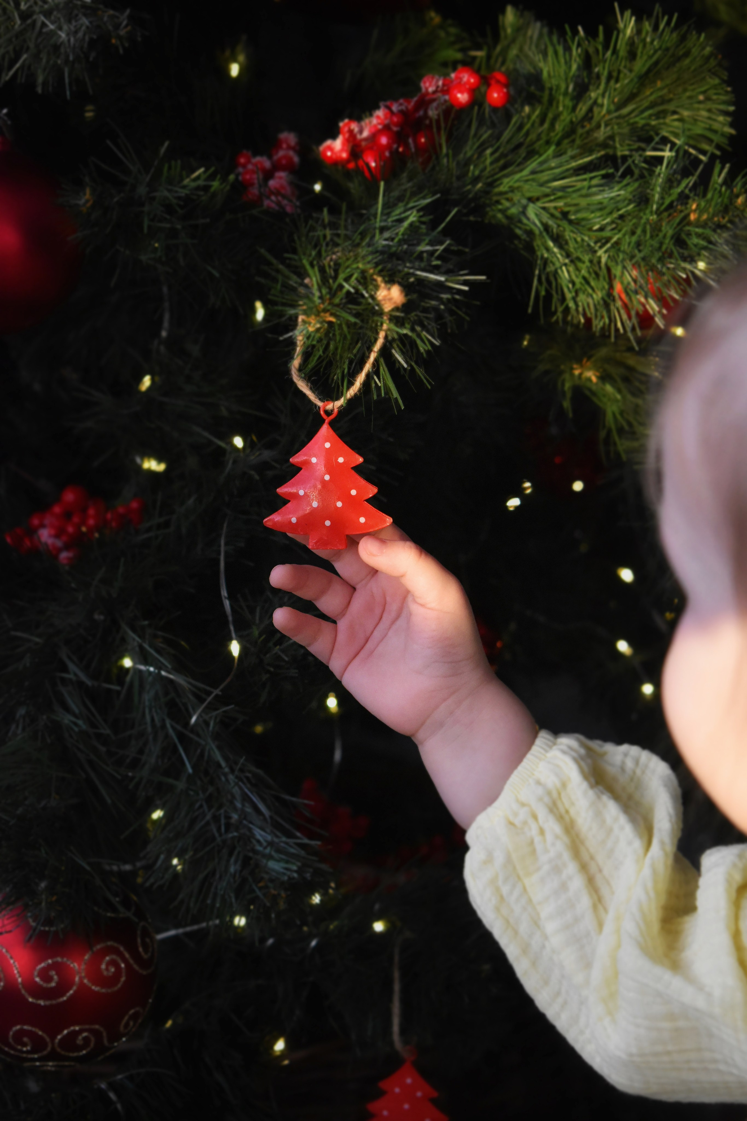 Новый Год. Семейный, детский и женский фотограф города Барнаул Кудаева Анастасия