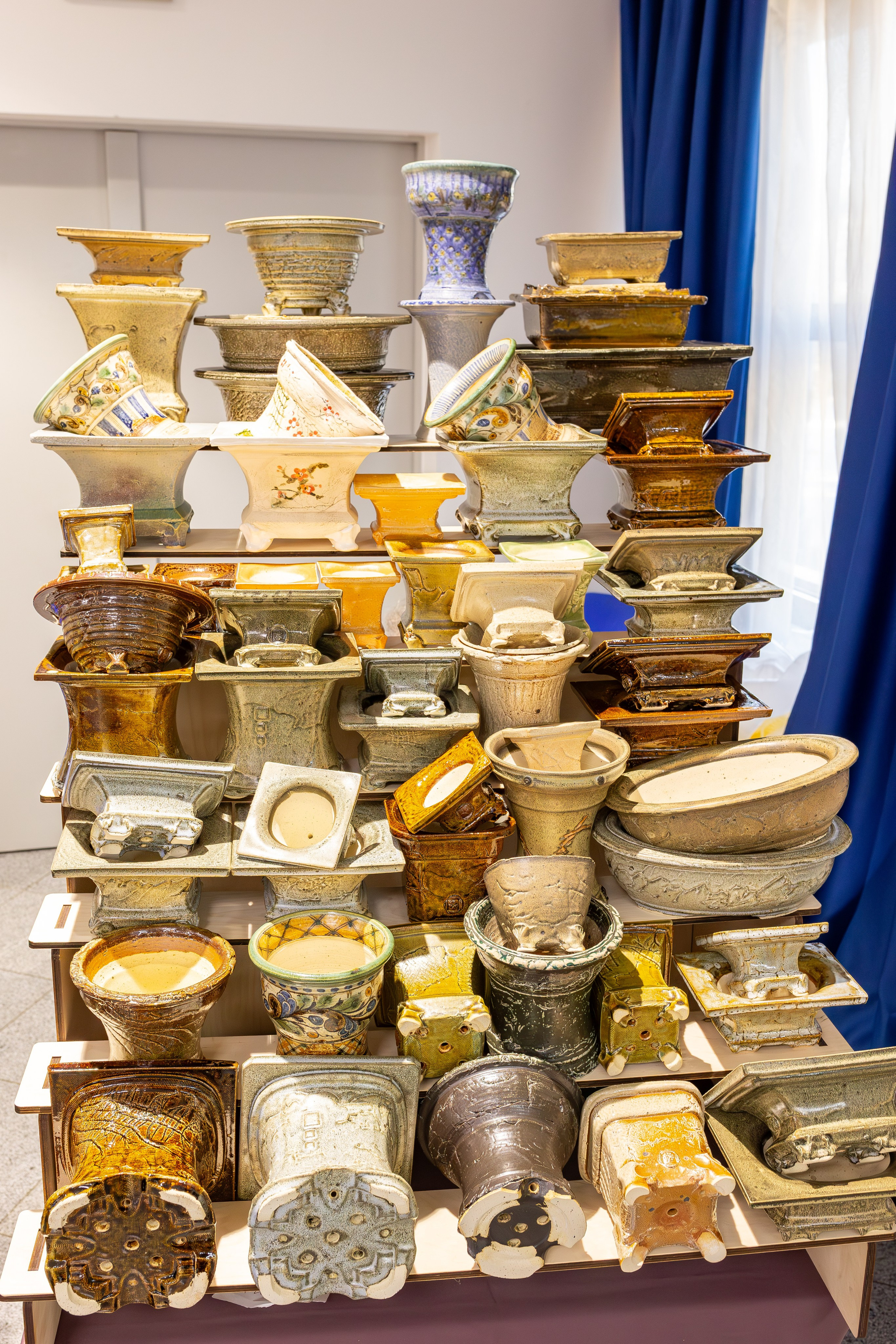 Орхидиум сентябрь 2025. Александра Куликова фотограф, Москва