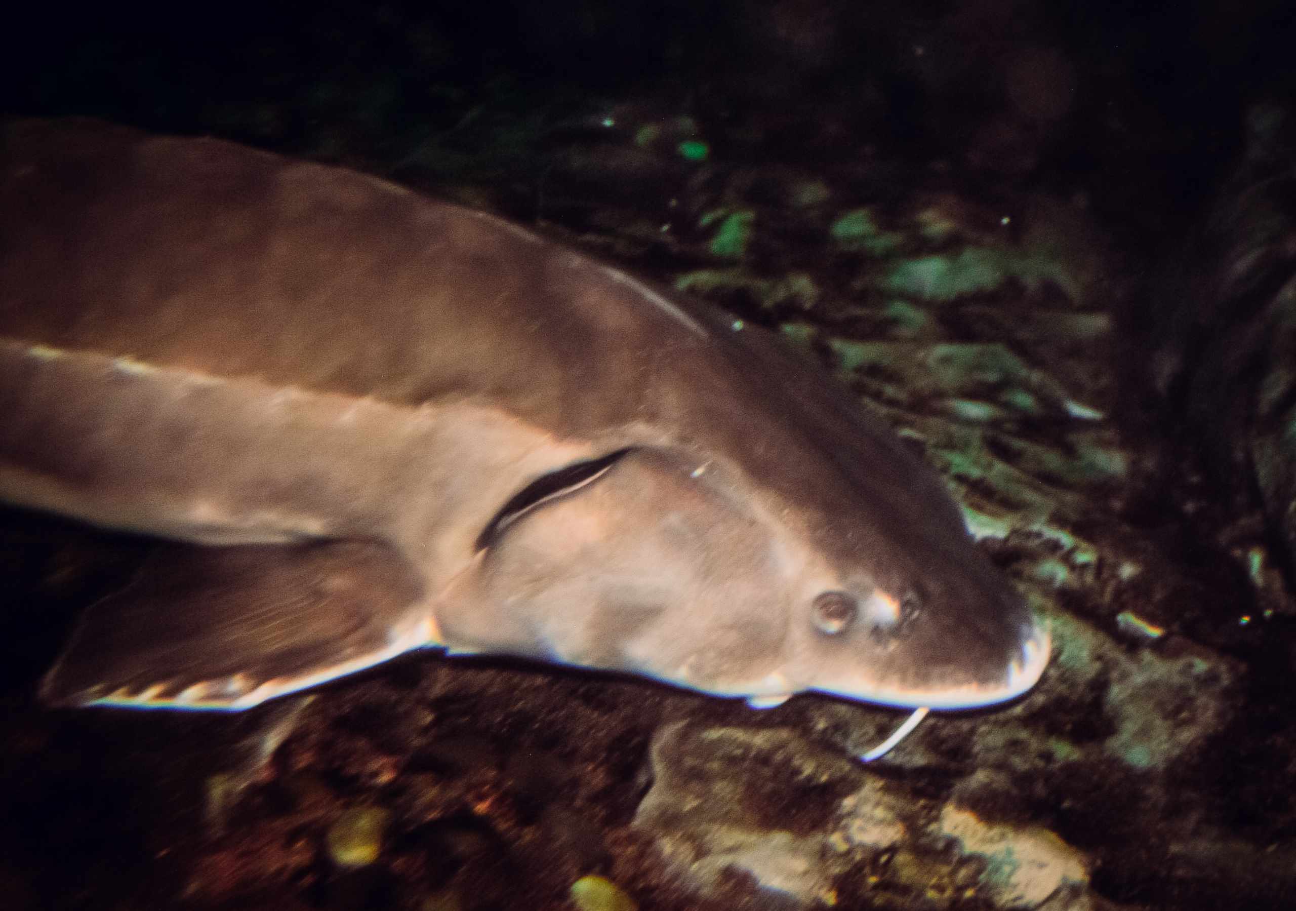 Аквапарк. Портретный фотограф DanilNabody