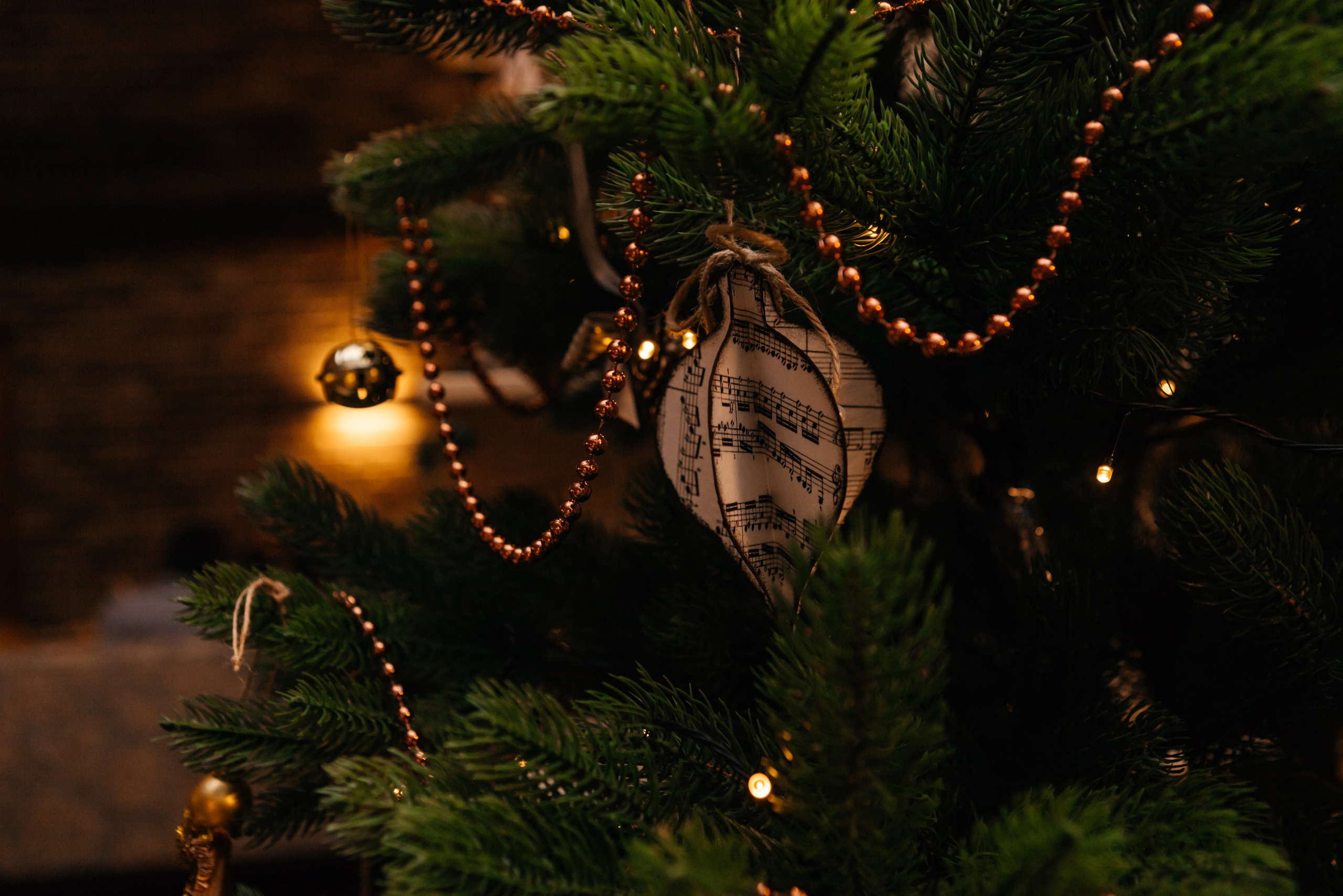 Музыкальный вечер Тулинов дом. Свадебный и семейный фотограф в Воронеже Катя Фишка