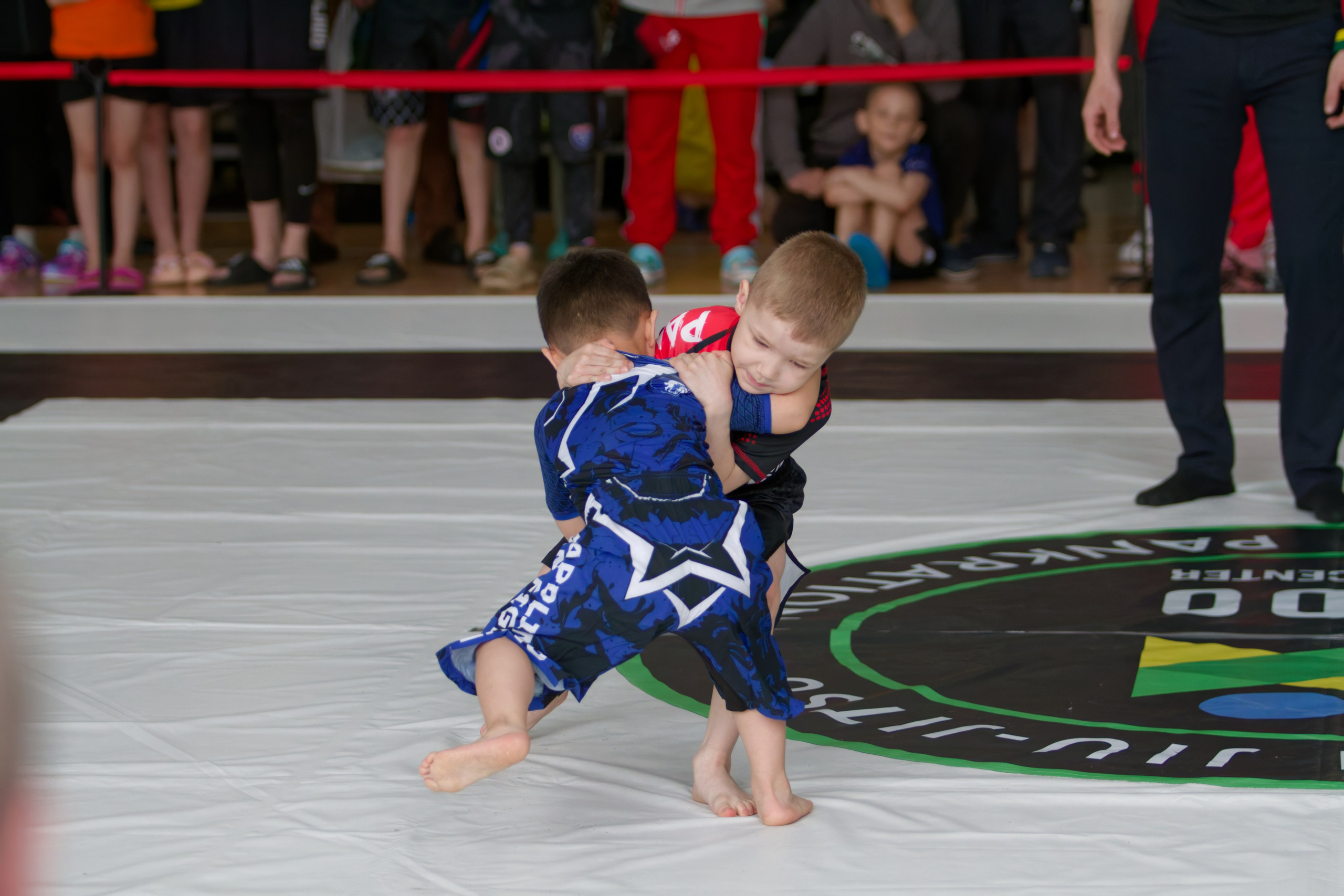 Борьба. Джиу-джитсу 26.04.2025. Репортажный и спортивный фотограф в г. Пермь Зильберг Павел