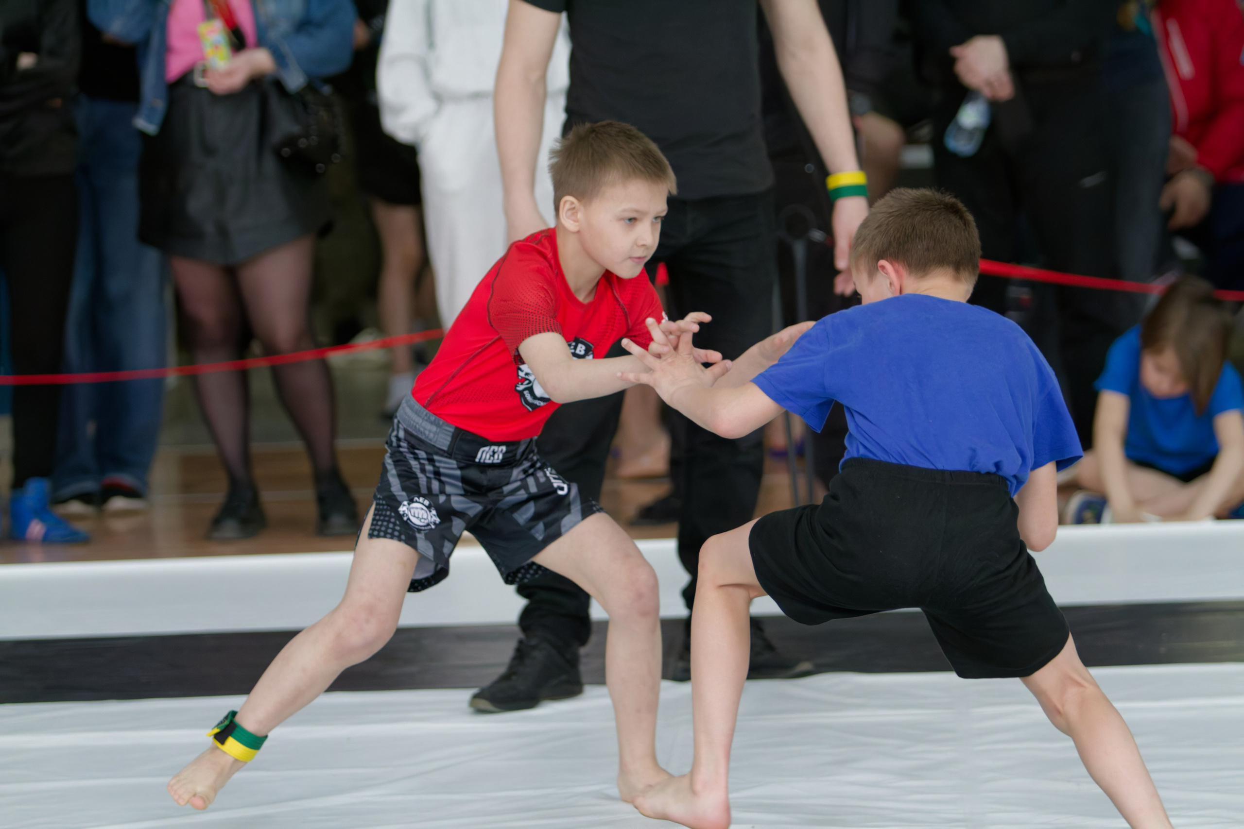 Борьба. Джиу-джитсу 26.04.2025. Репортажный и спортивный фотограф в г. Пермь Зильберг Павел
