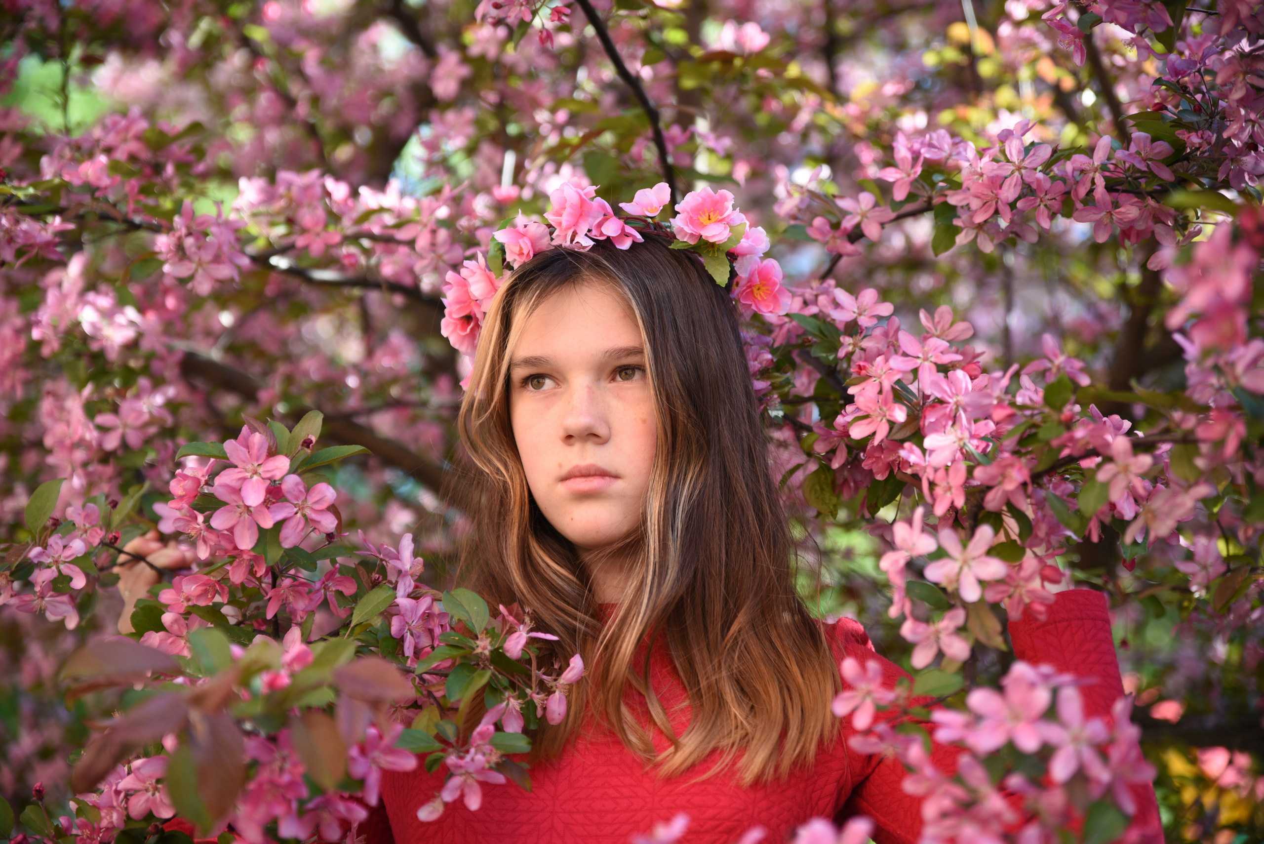 Цветущие сады