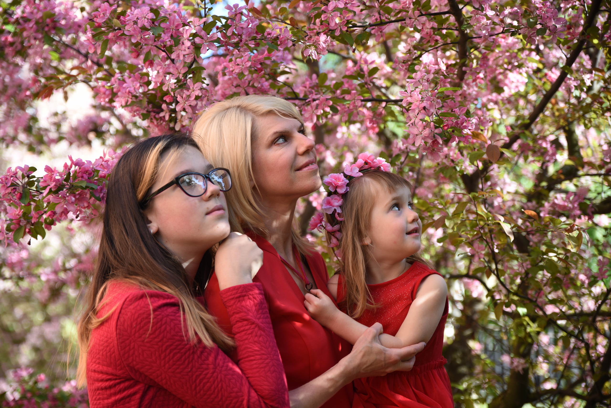 Цветущие сады