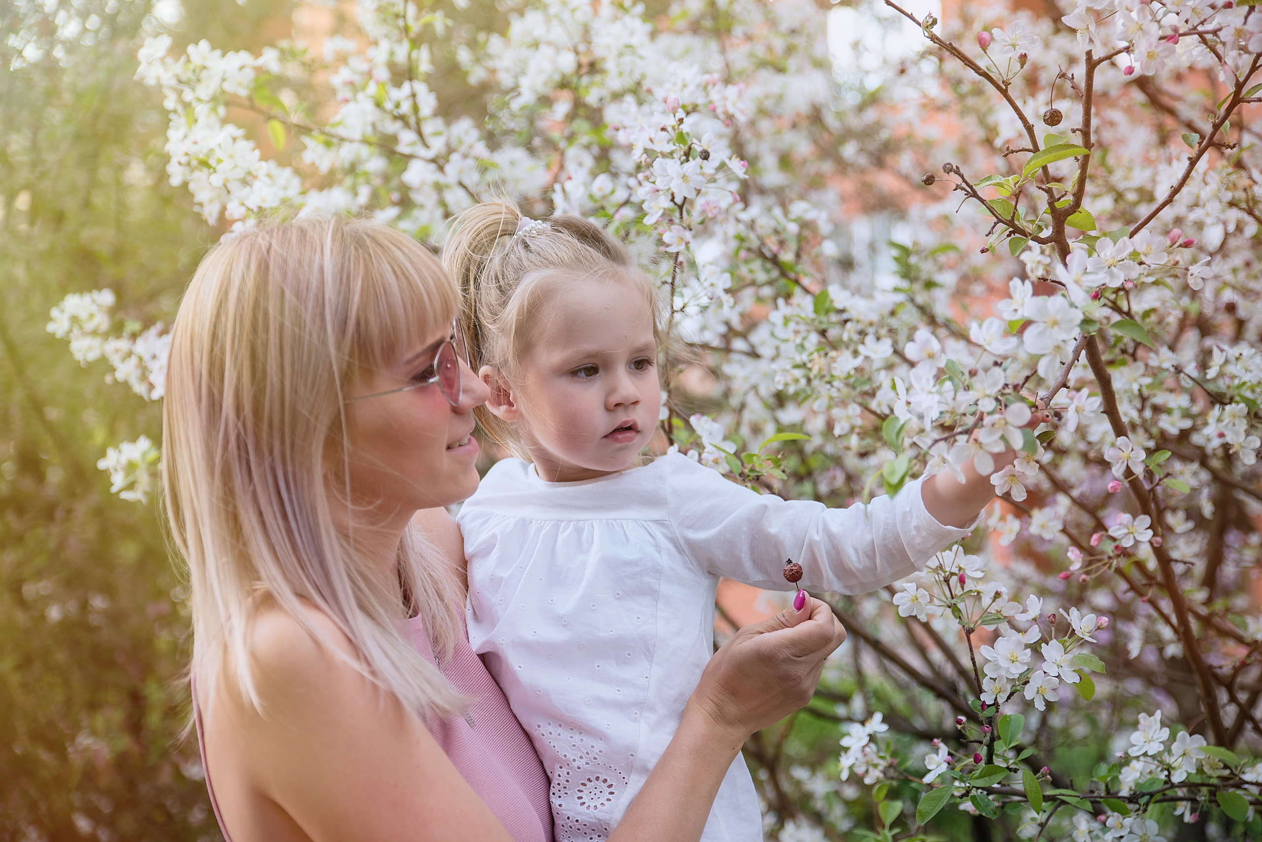 Цветущие сады