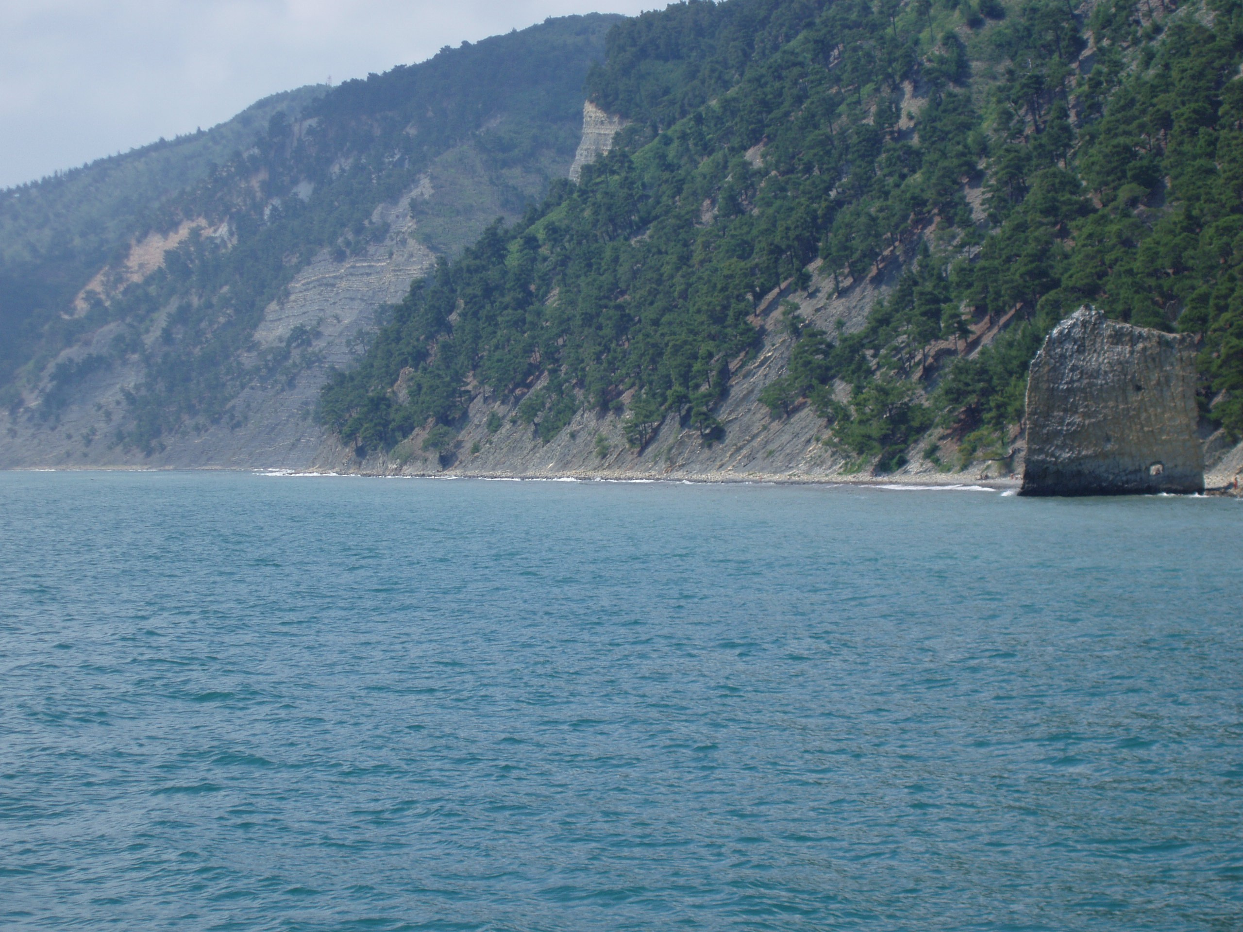 Отпуск 13.07-24.08. Семейный, Свадебный фотограф СПБ Питер— Романова Екатерина