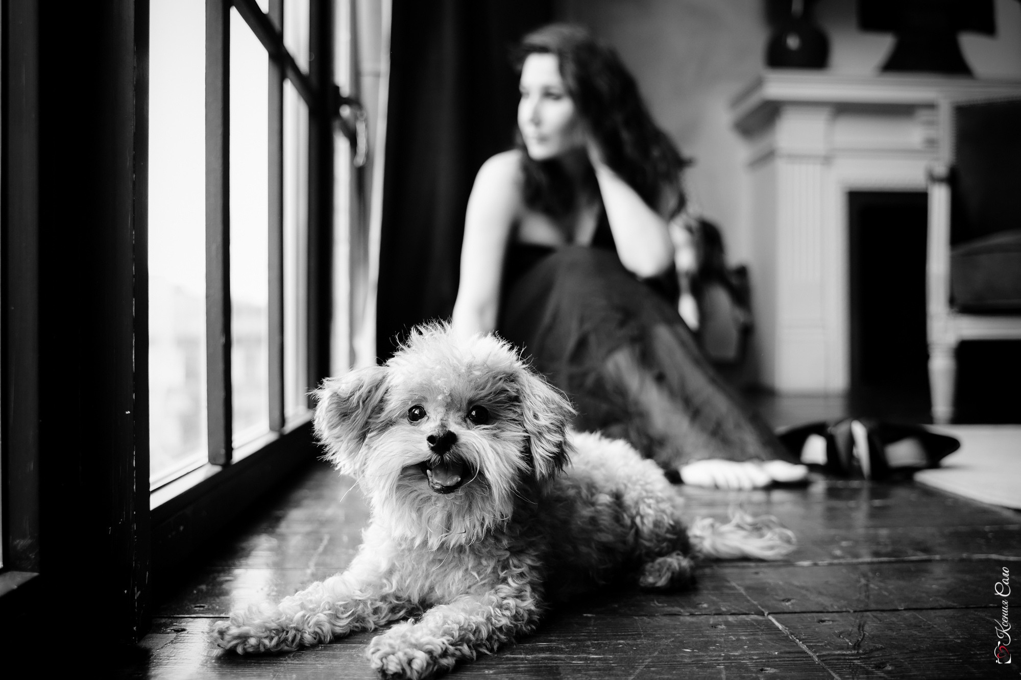 Фотосессии с Любимцами. Фотограф Ксения Соло