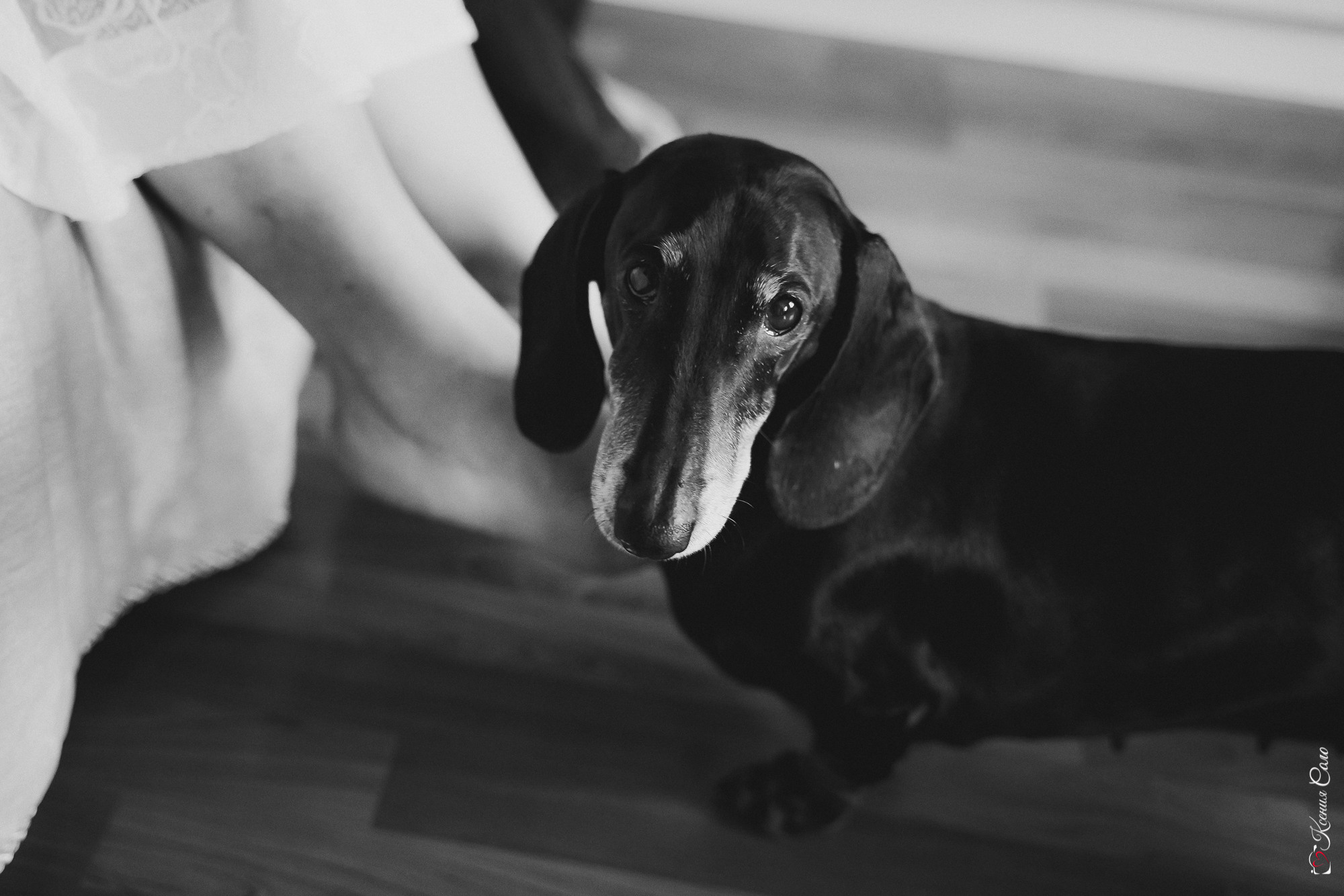 Домашняя история для Ани и Стаса. Фотограф Ксения Соло