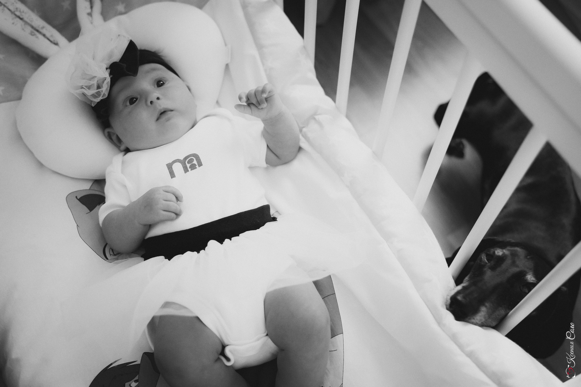 Домашняя история для Ани и Стаса. Фотограф Ксения Соло