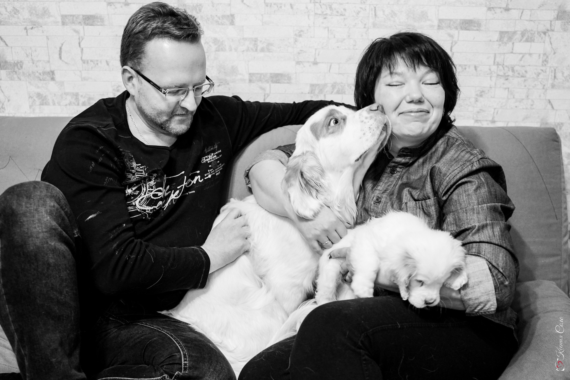 Фотосессии с Любимцами. Фотограф Ксения Соло