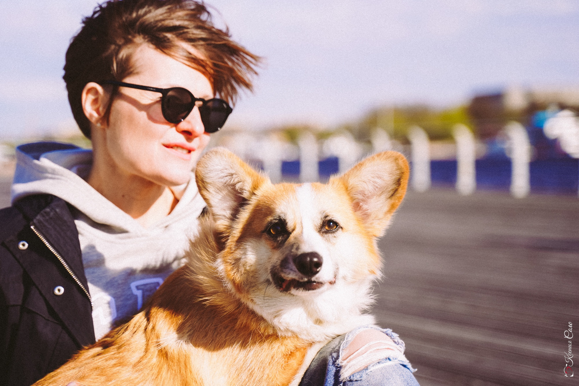 Фотосессии с Любимцами. Фотограф Ксения Соло