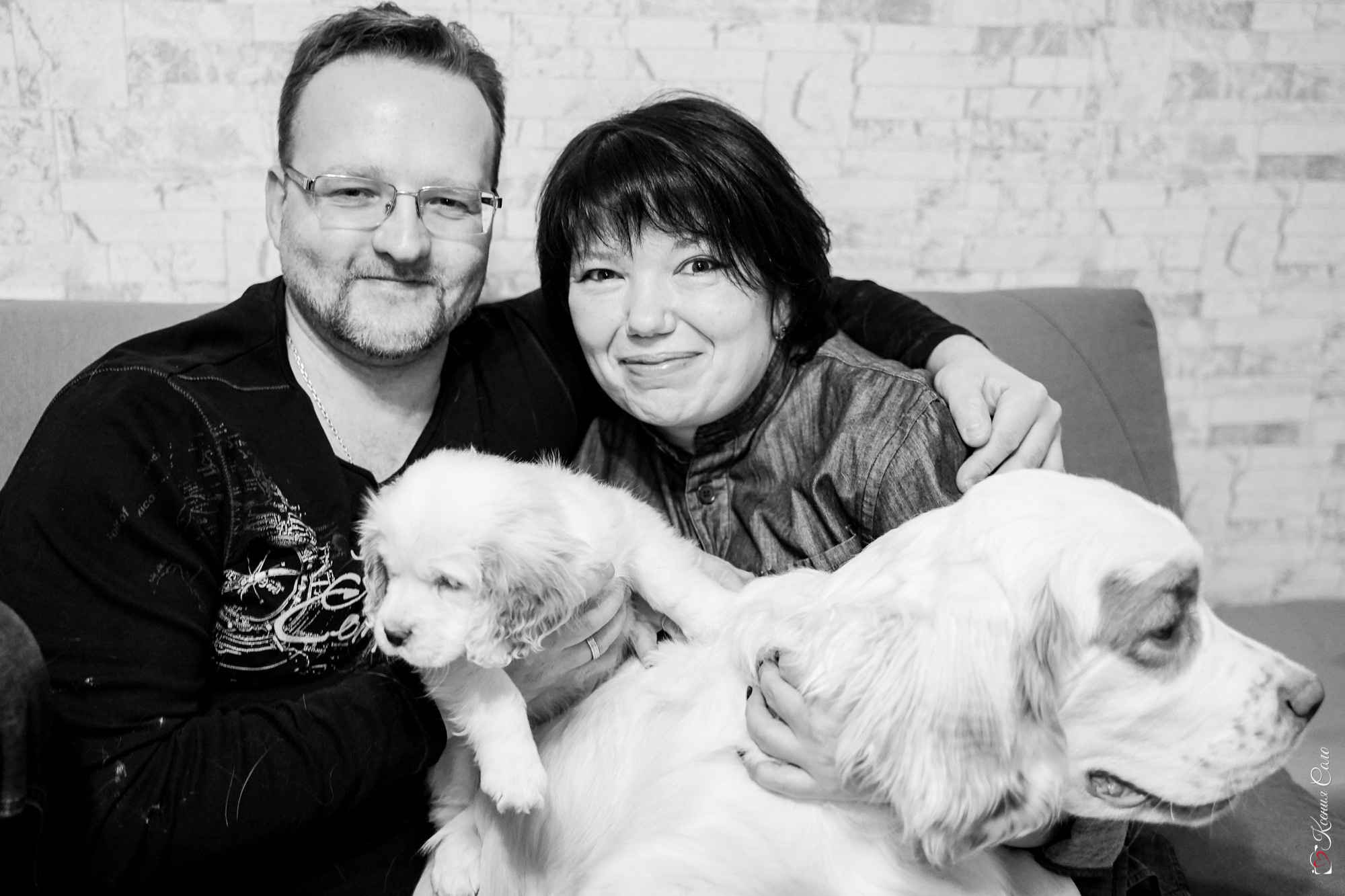 Фотосессии с Любимцами. Фотограф Ксения Соло