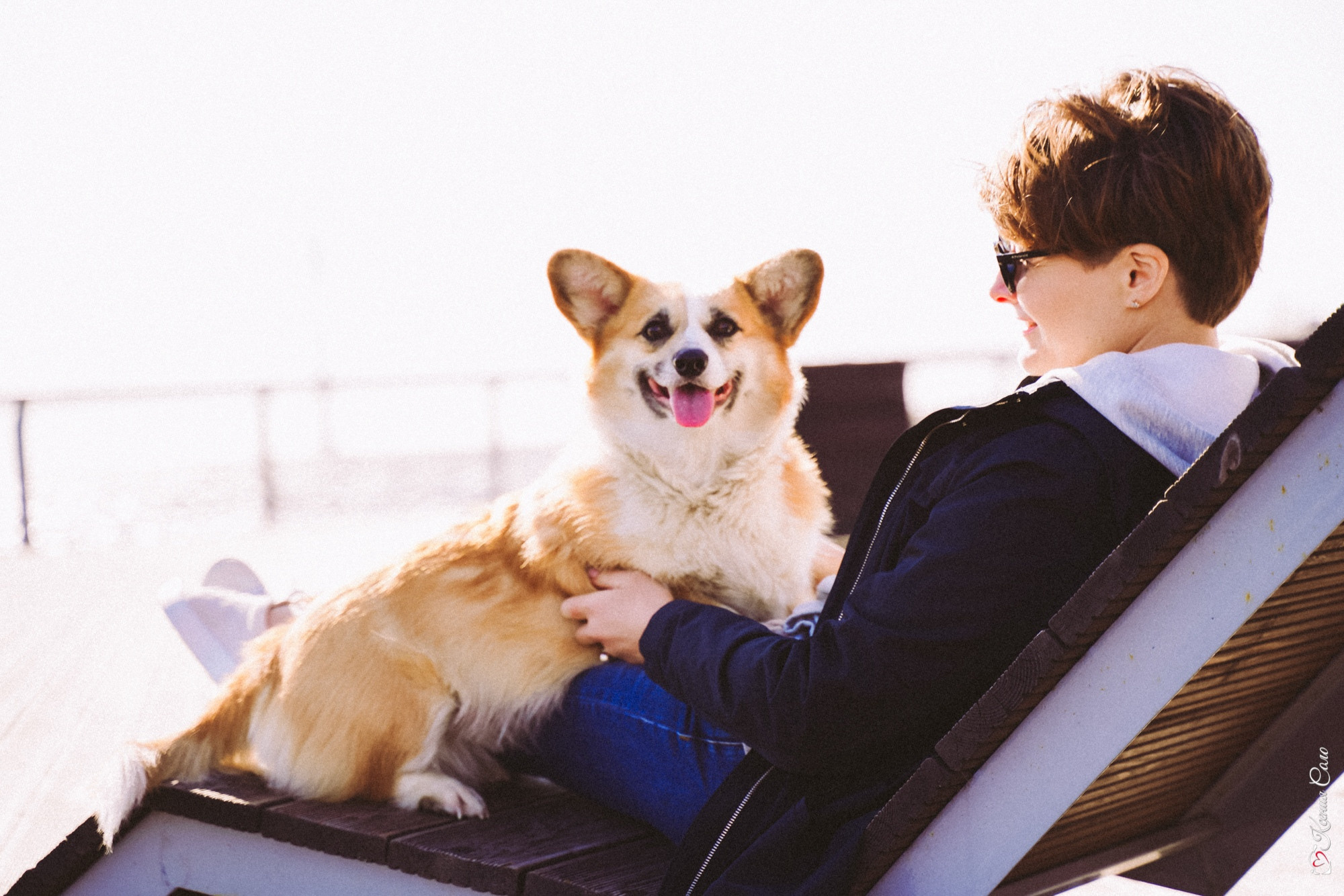 Фотосессии с Любимцами. Фотограф Ксения Соло