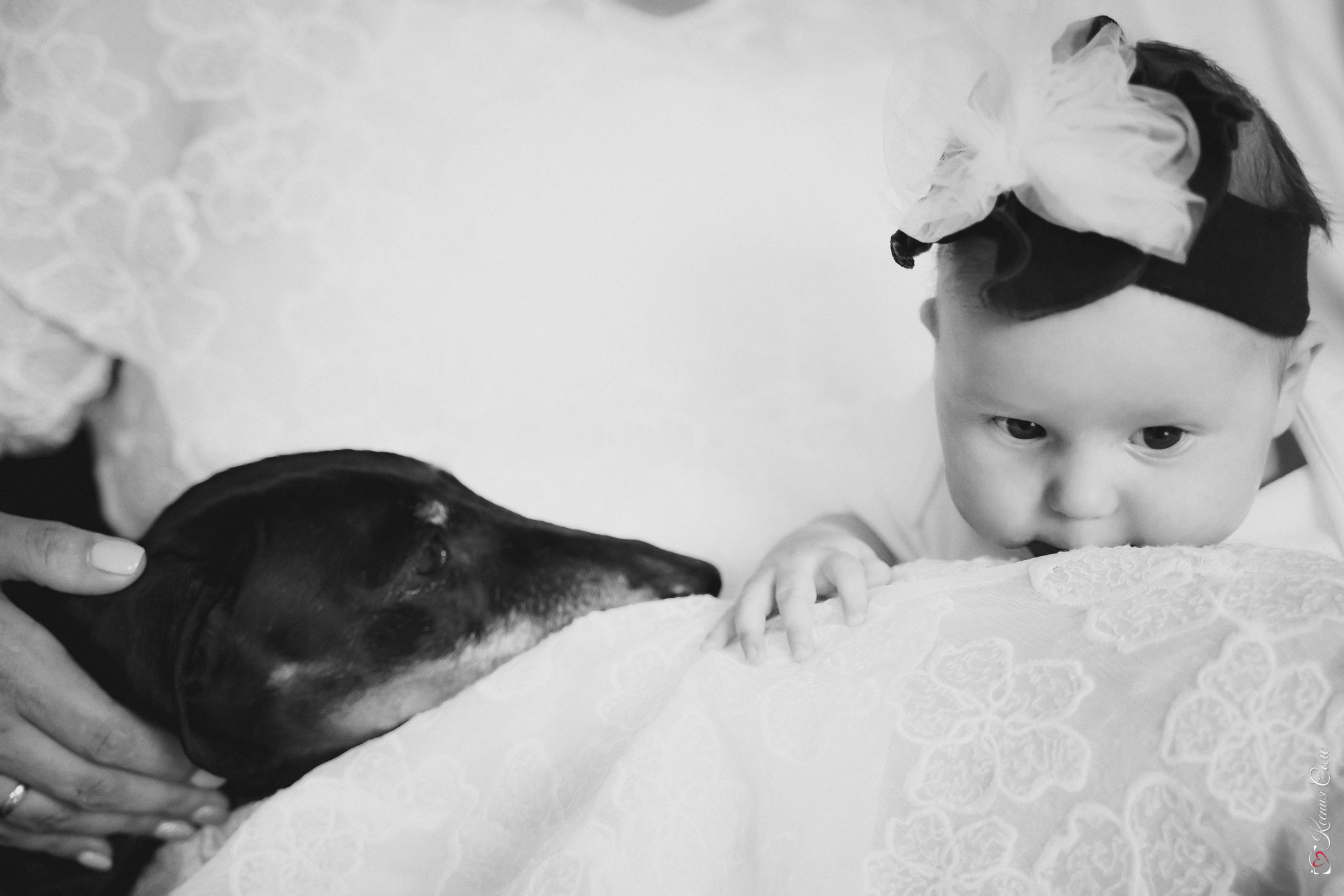 Домашняя история для Ани и Стаса. Фотограф Ксения Соло