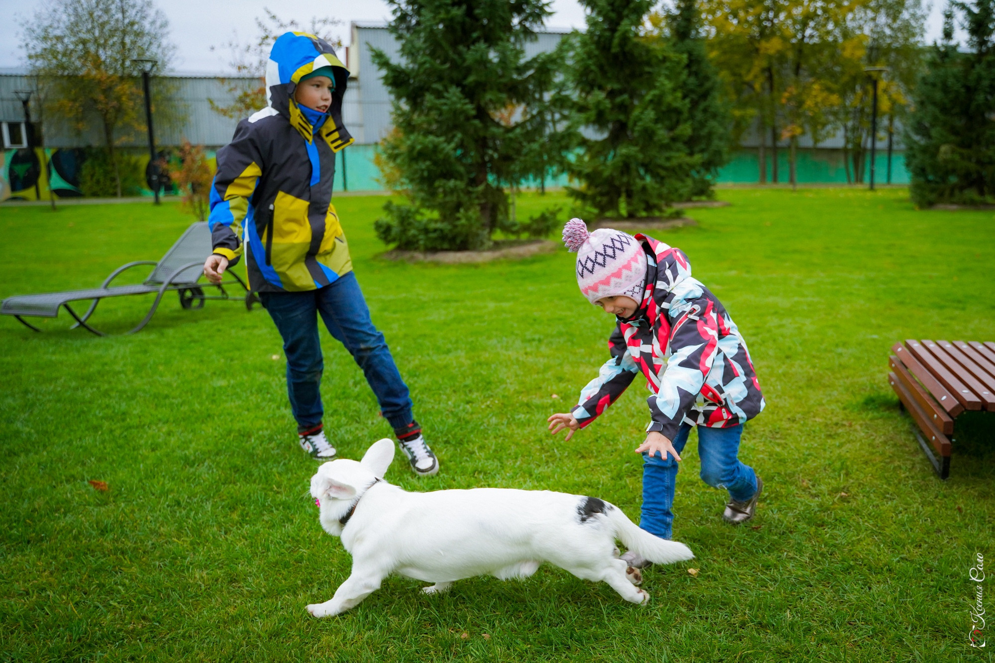 Фотосессии с Любимцами. Фотограф Ксения Соло