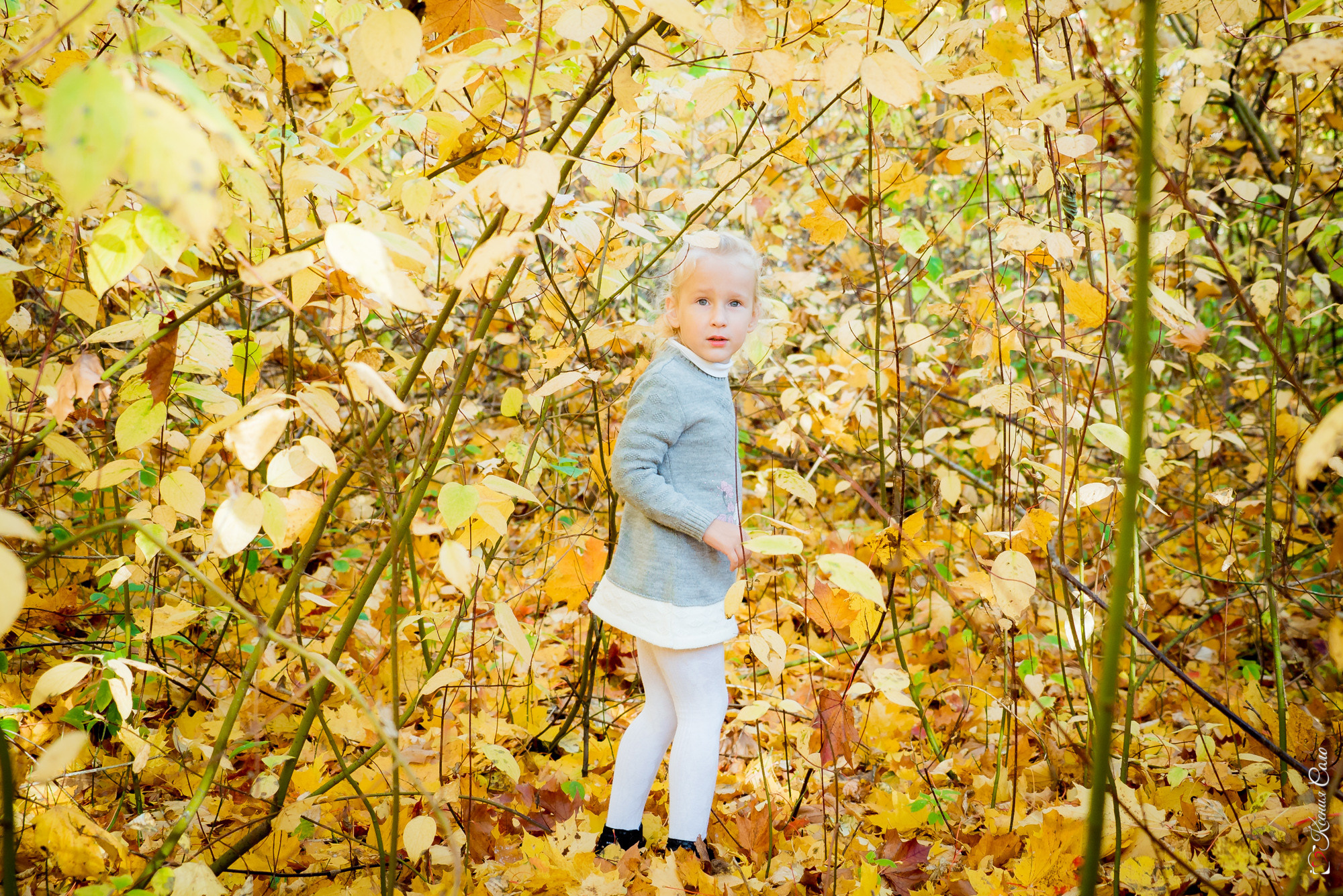 Осенняя история для Татьяны. Фотограф Ксения Соло