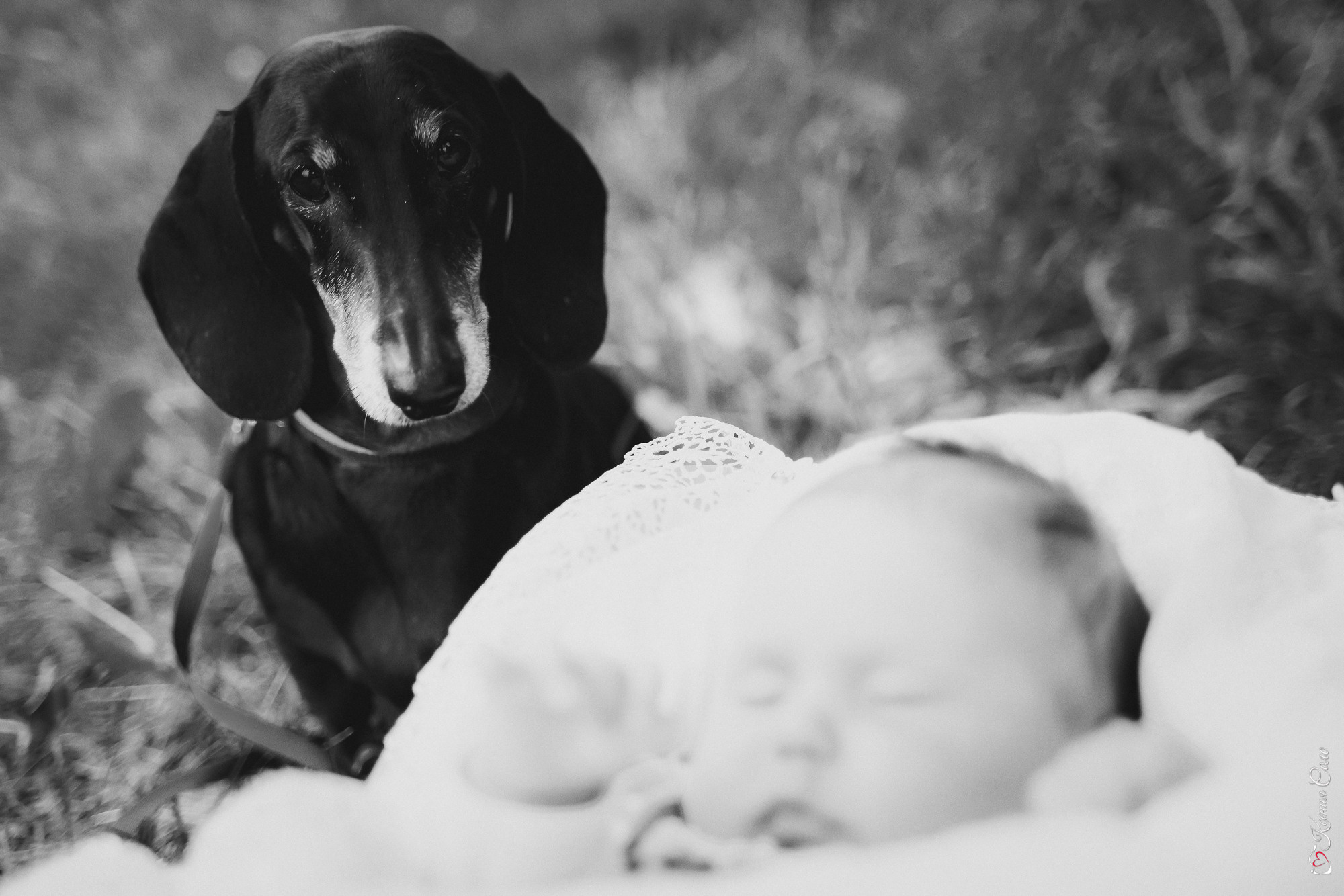 Домашняя история для Ани и Стаса. Фотограф Ксения Соло