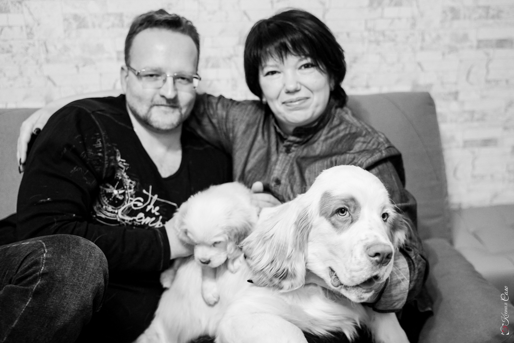 Фотосессии с Любимцами. Фотограф Ксения Соло