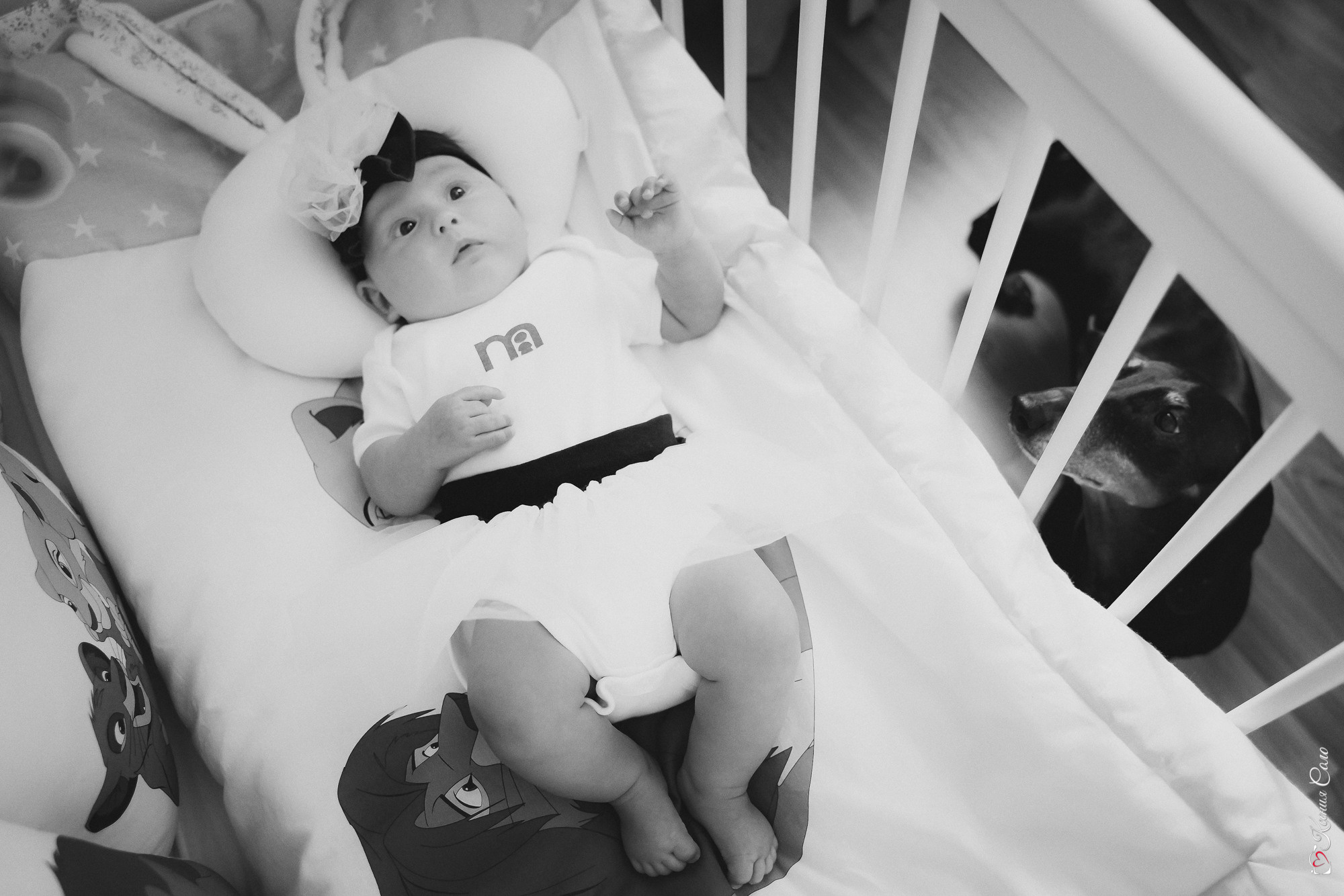 Домашняя история для Ани и Стаса. Фотограф Ксения Соло