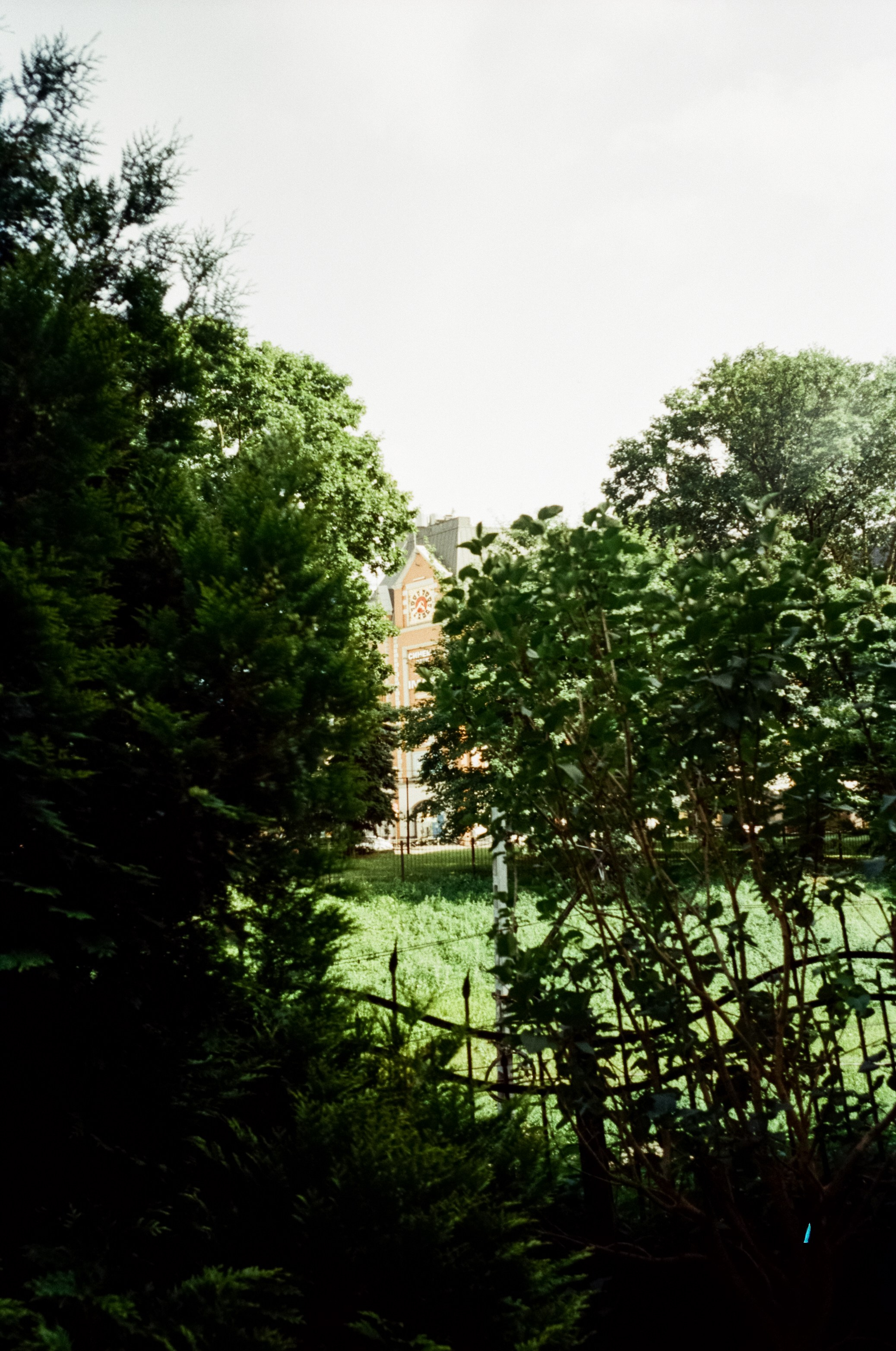 Прогулка от Площади Победы к Amalienau в golden hour. Фотограф-документалист Мария Осокина