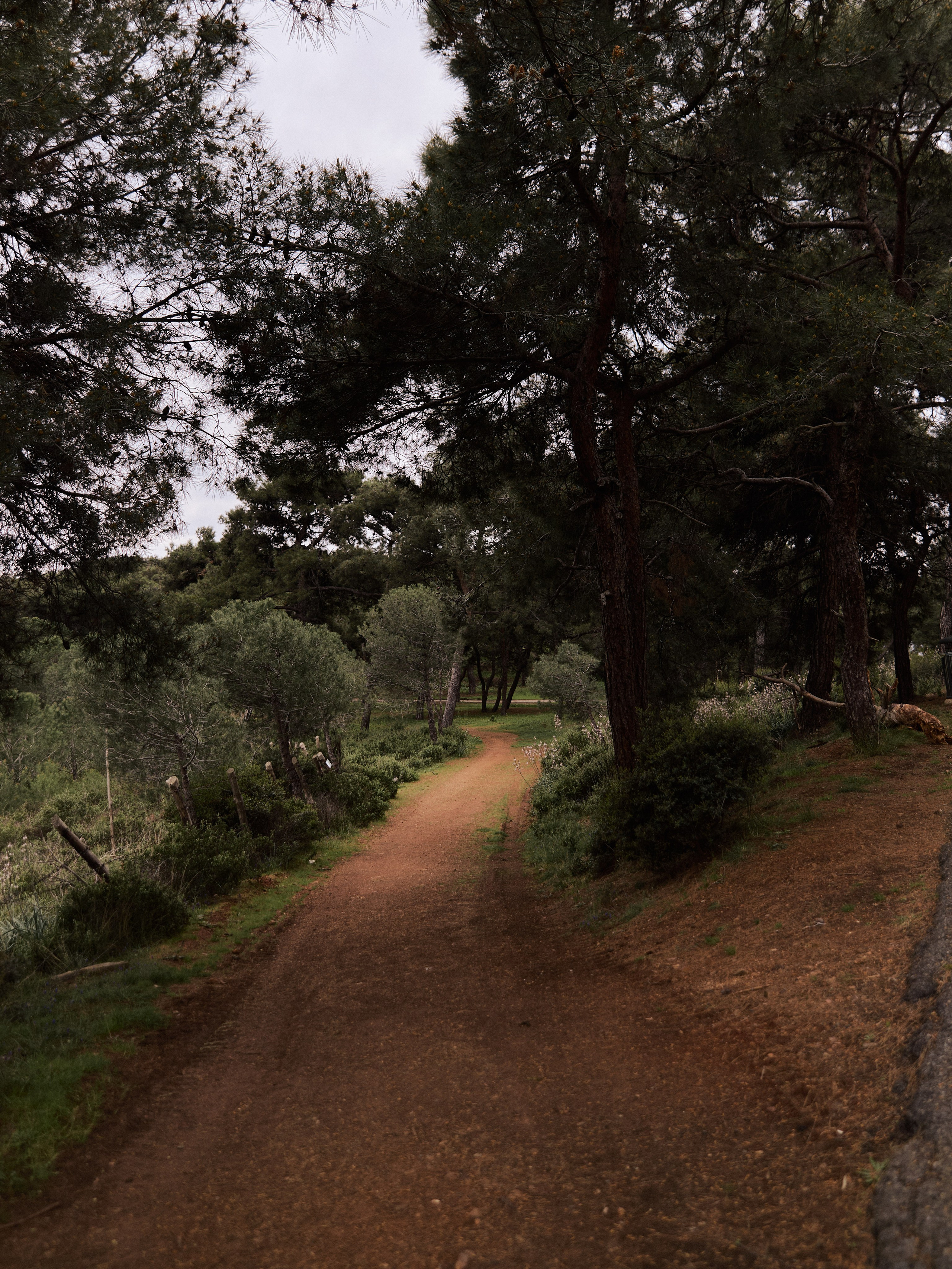 Улицы. Jorgis Talè — photographer, kind person, teacher of arts and other mag